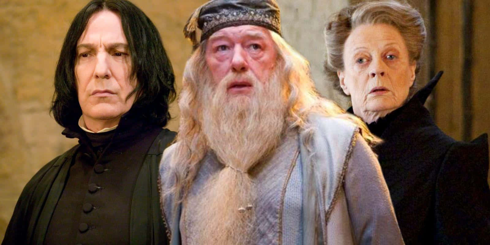 The Hogwarts Professors, Hogwarts, dark robes, HD Desktop Wallpaper