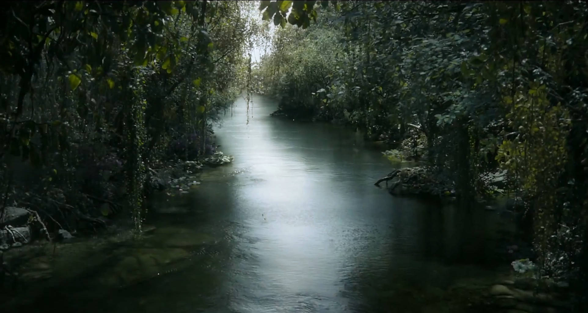 The Jungle Book, river, dense forest, Full HD Desktop Wallpaper