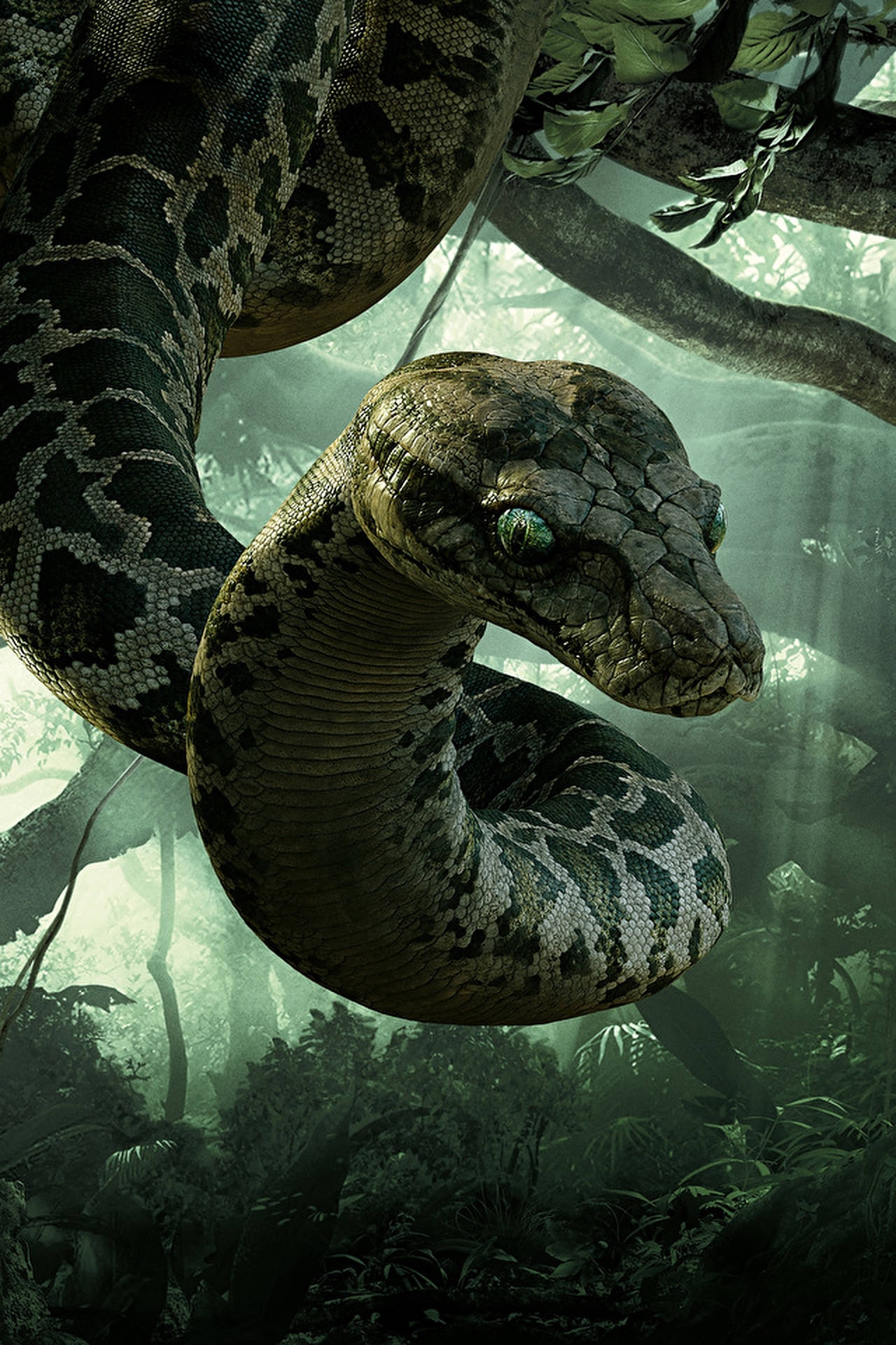 The Jungle Book, anaconda, misty jungle canopy, Full HD Phone Wallpaper