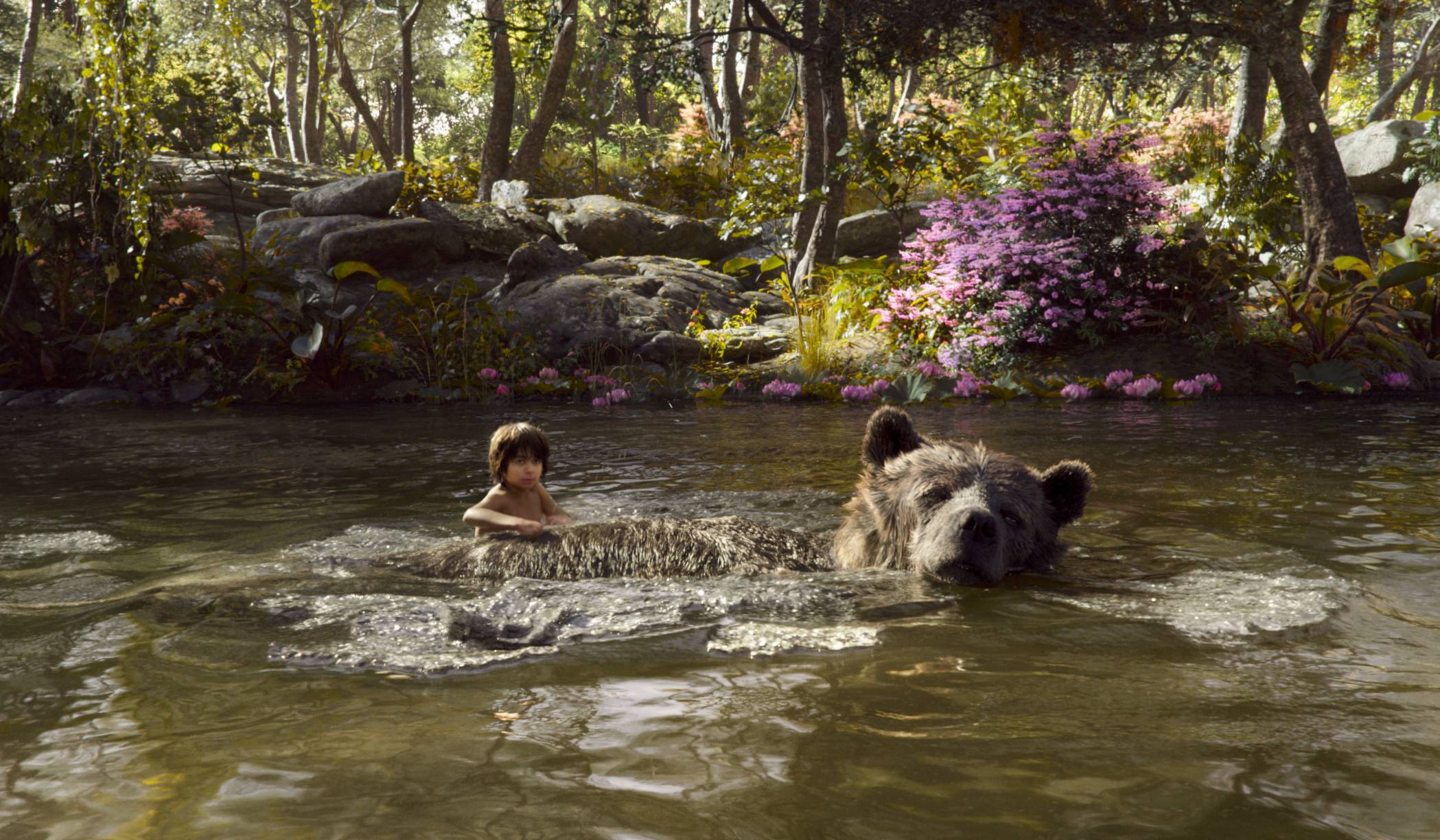 The Jungle Book, boy, bear, Full HD Desktop Wallpaper