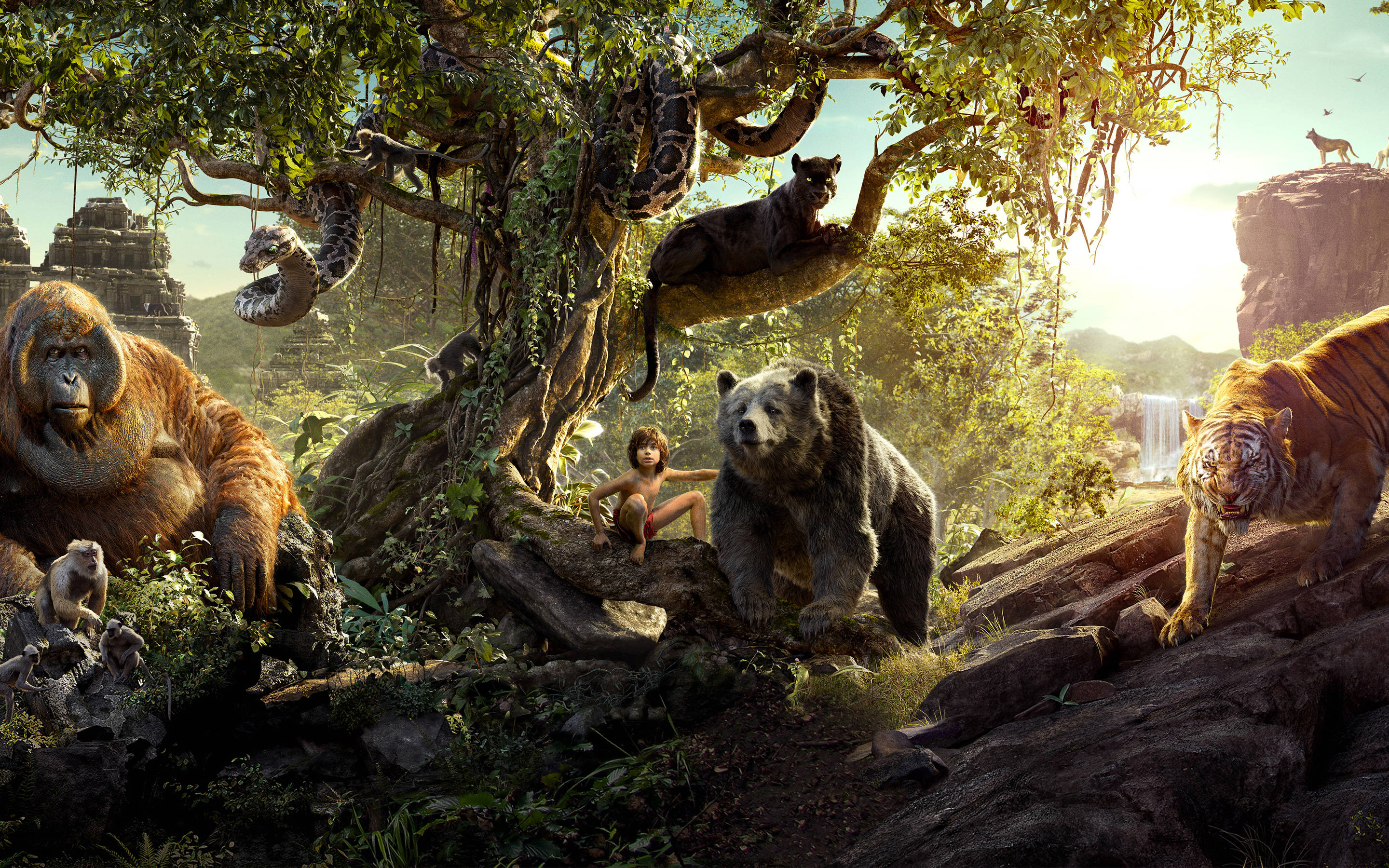 The Jungle Book, ape bear, tiger, 2K Desktop Wallpaper