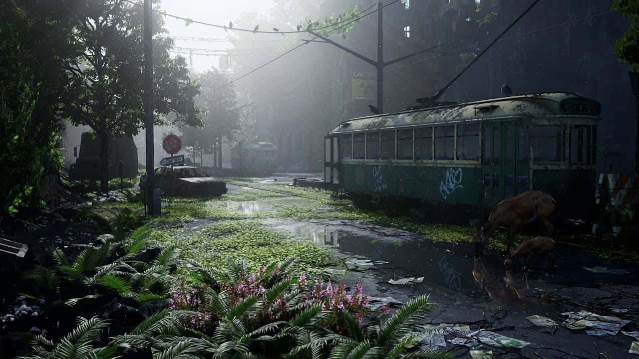 The Last Of US, green tram, overgrown urban street, HD Desktop Wallpaper
