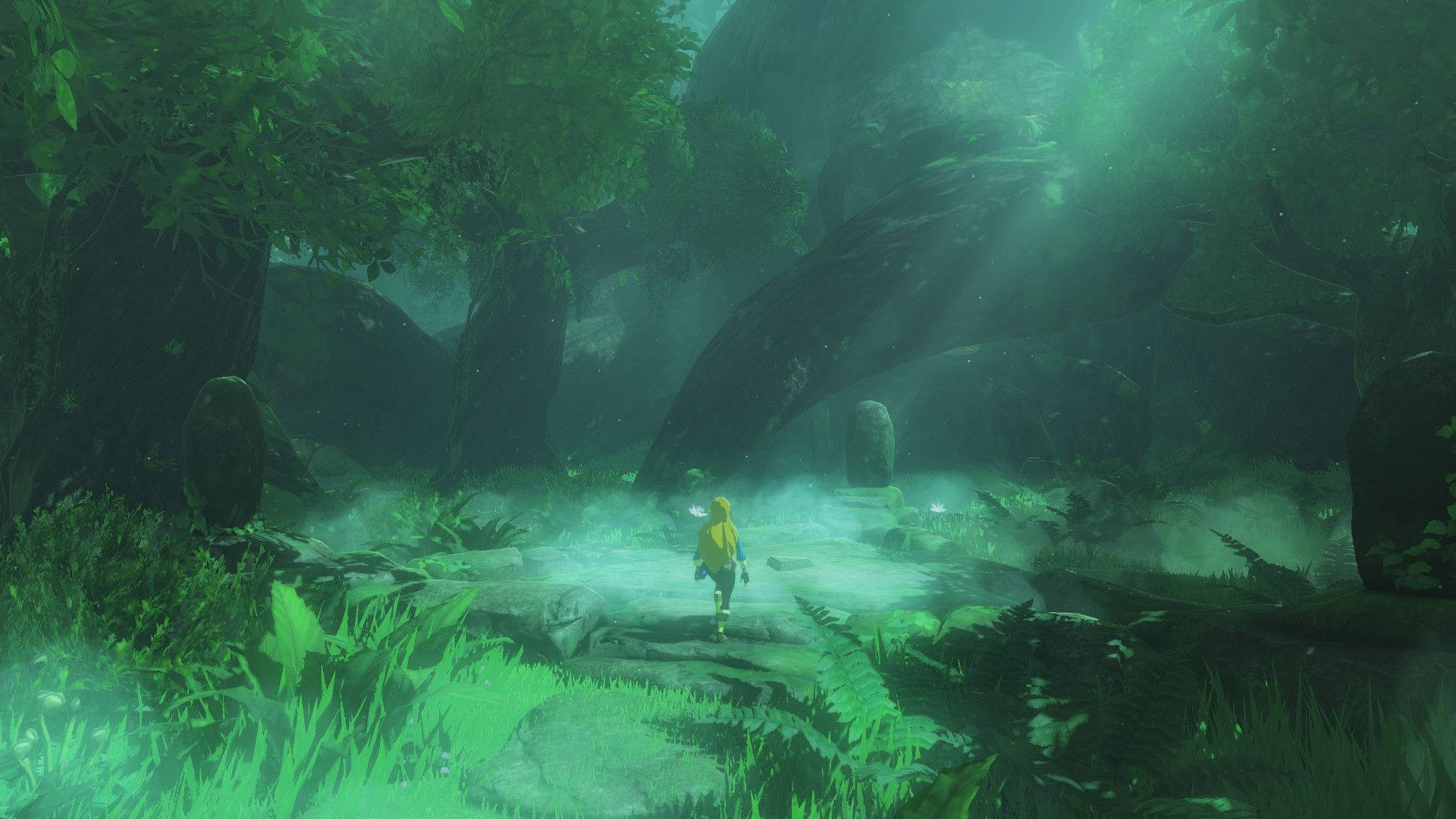 green wild forest, Hyrule, yellow tunic, Full HD Desktop Wallpaper