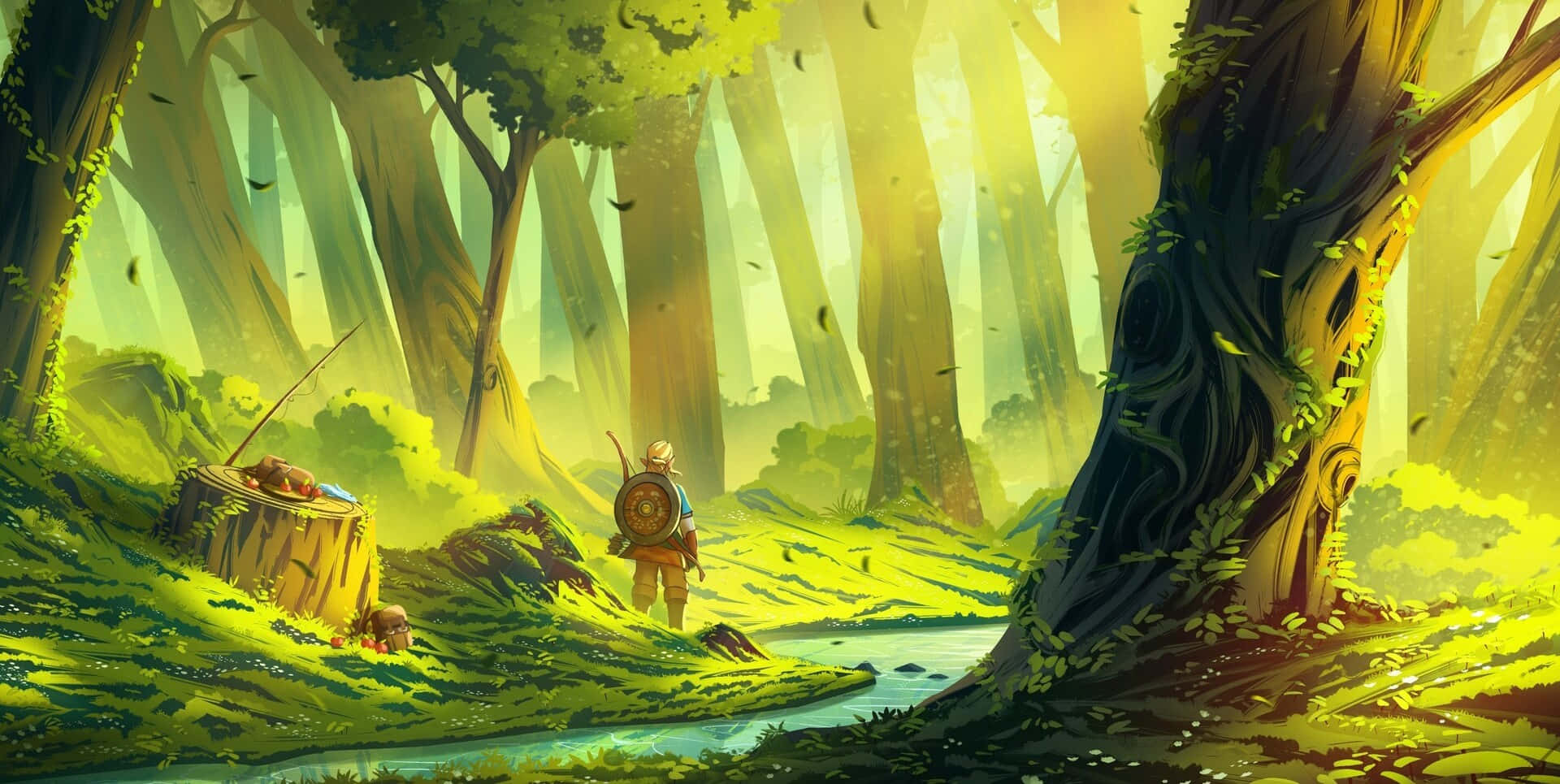The Legend Of Zelda: Tears Of The Kingdom, adventurer, shield, Full HD Desktop Wallpaper