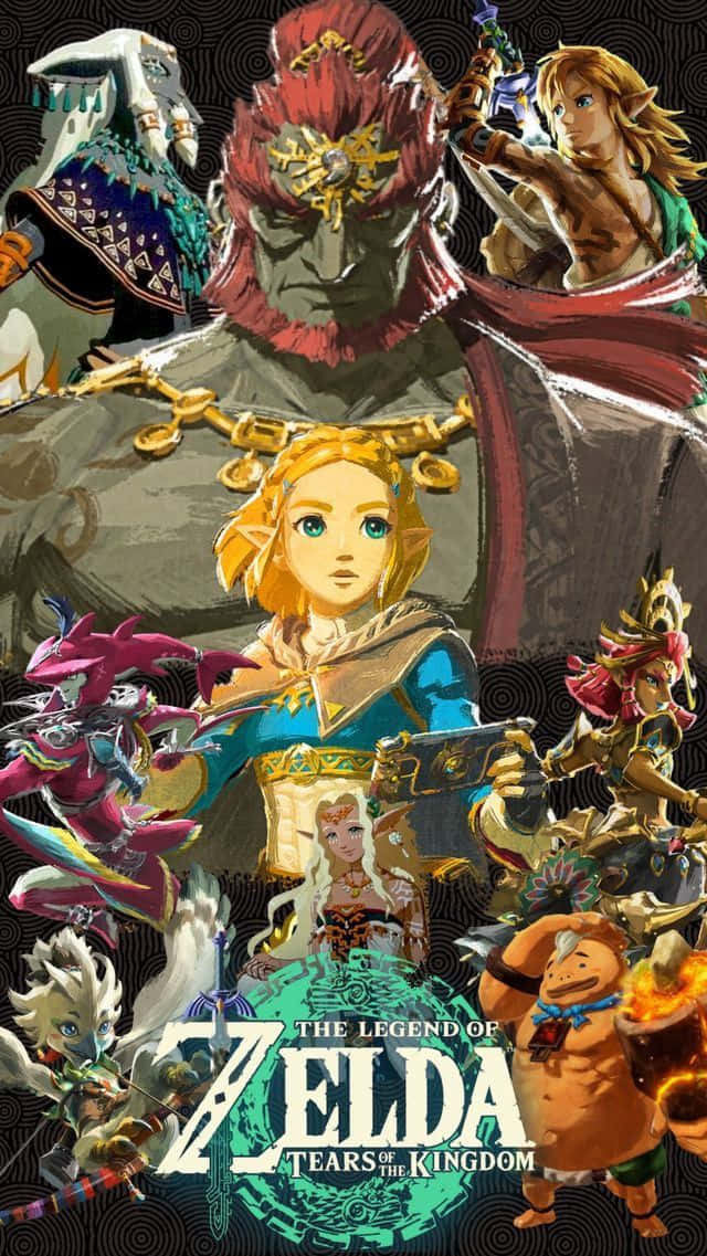 The Legend of Zelda Tears of the Kingdom, characters, vibrant collage, SD Phone Wallpaper