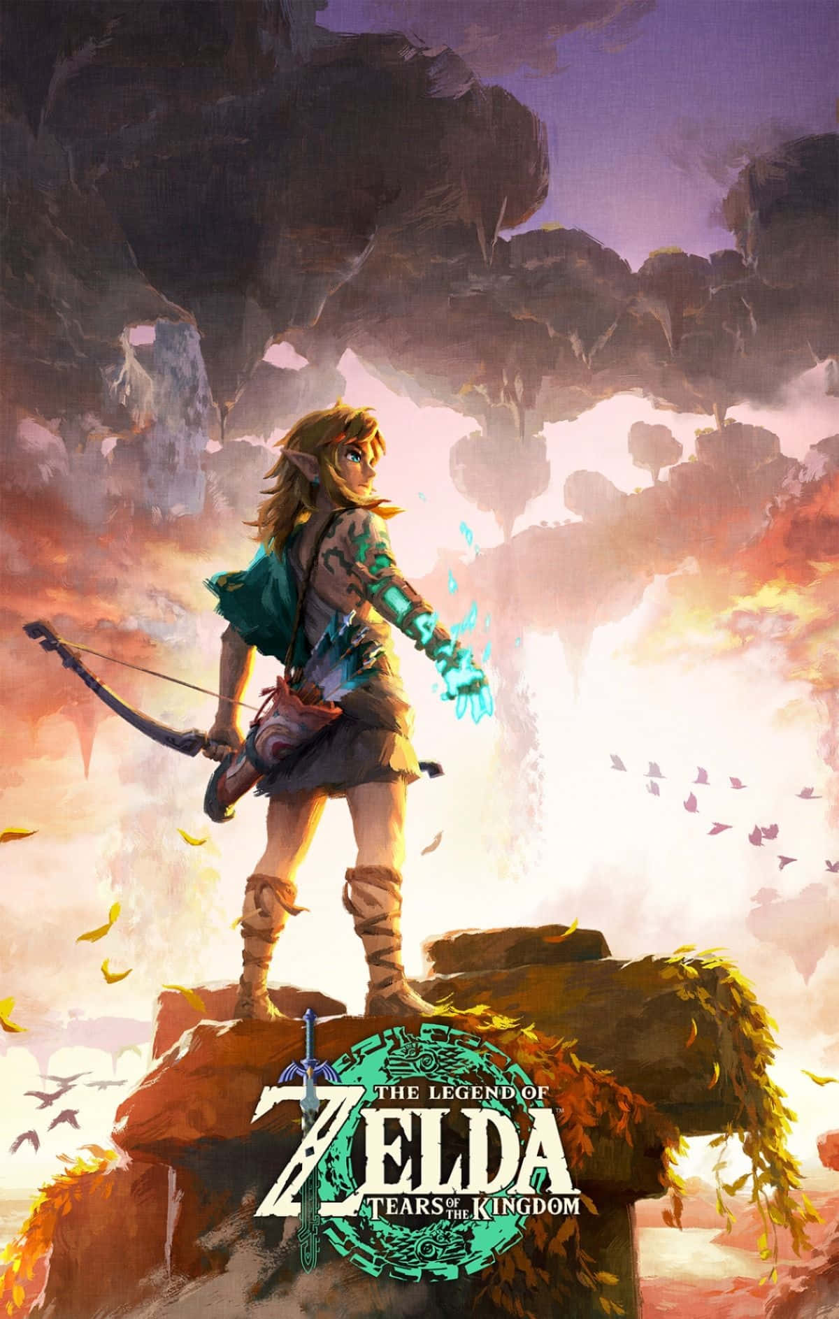 The Legend Of Zelda Tears Of The Kingdom, young hero, rocky outcrop, HD Phone Wallpaper