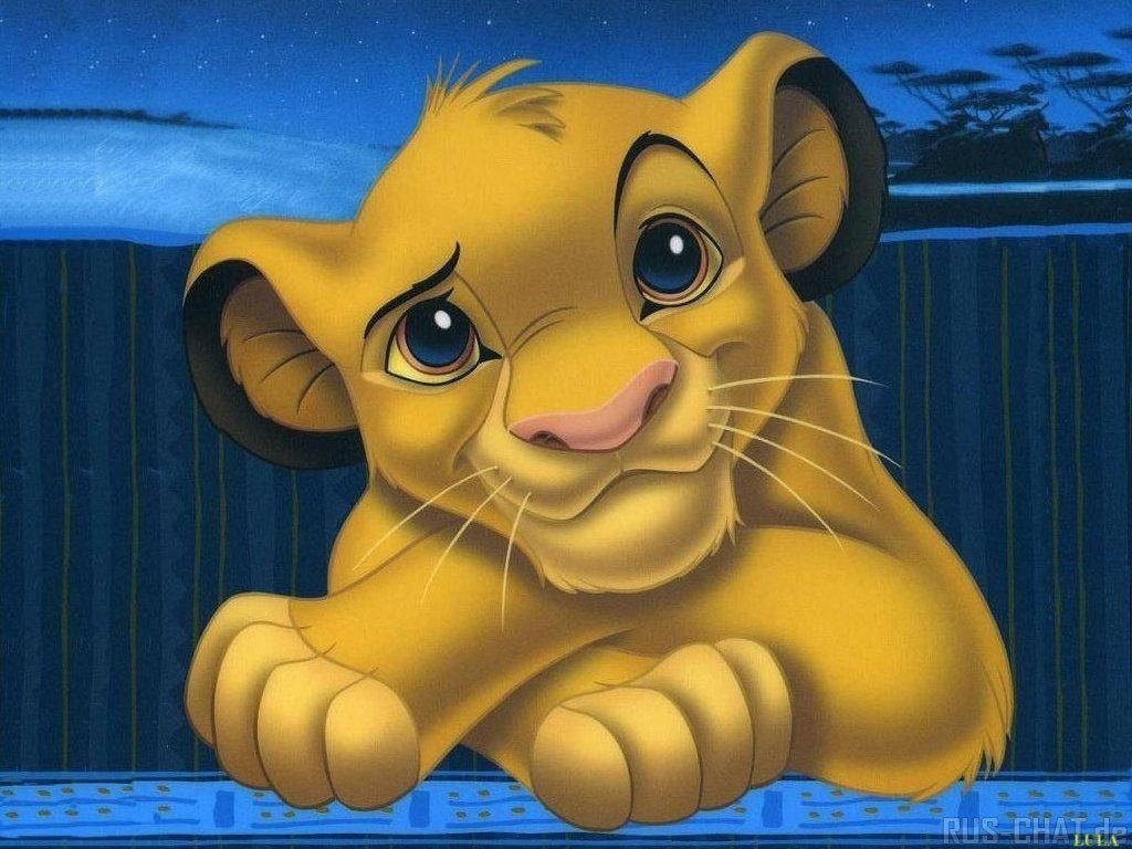 Lion King, young lion cub, big blue eyes, SD Desktop Wallpaper
