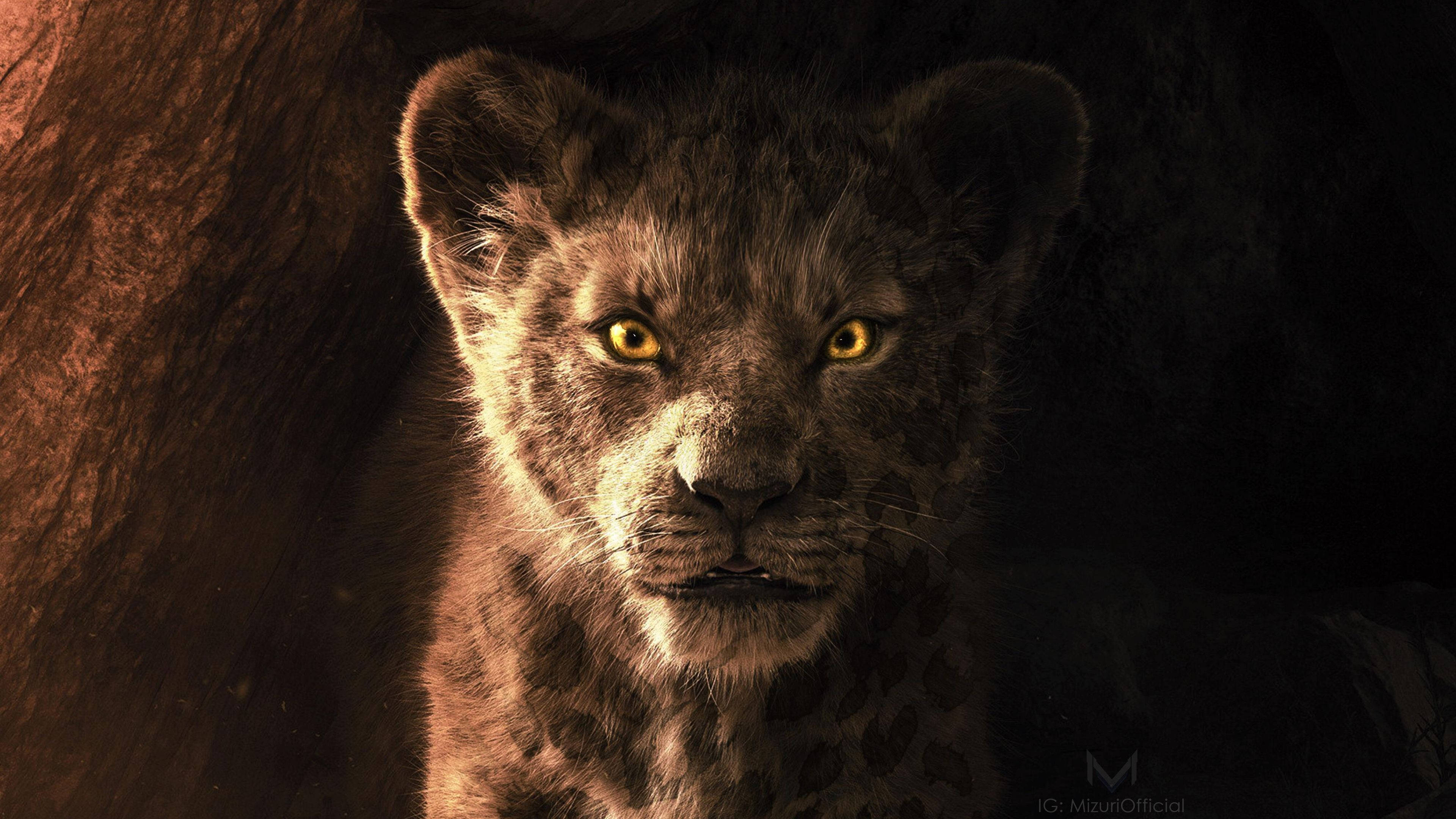 The Lion King, young Simba, amber eyes, 4K Desktop Wallpaper
