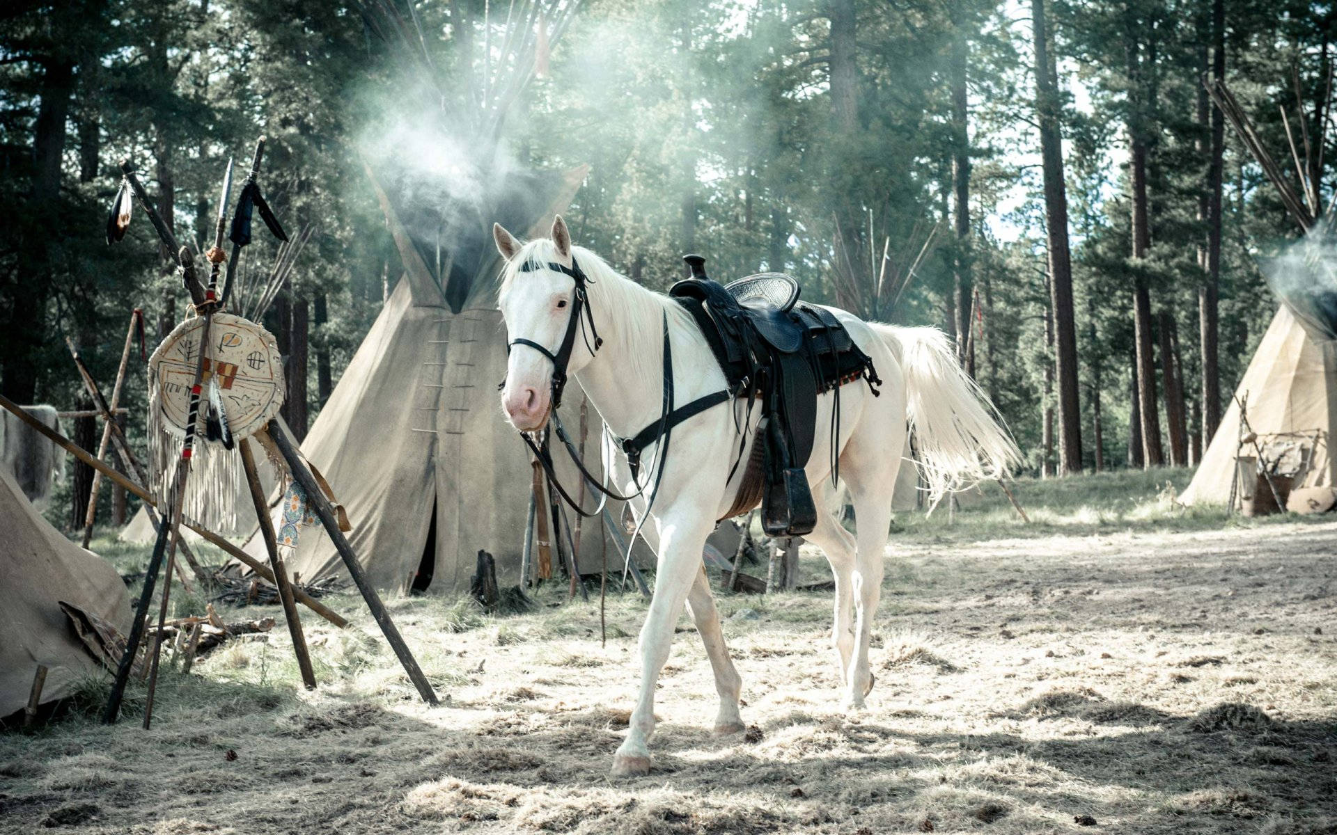 The Lone Ranger, white horse, black tack, Full HD Desktop Wallpaper