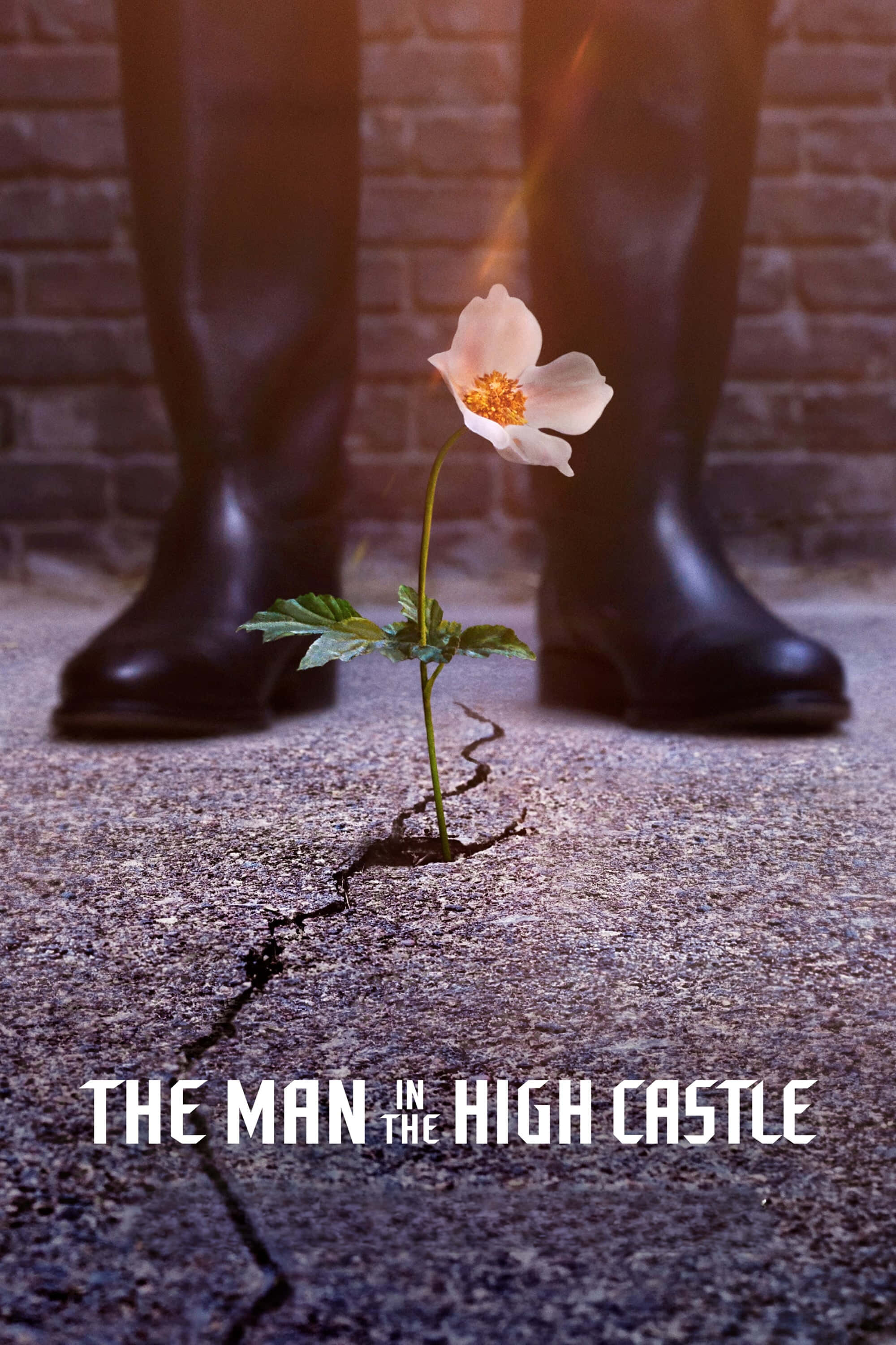 The Man In The High Castle, white flower, crack in concrete, 2K Phone Wallpaper