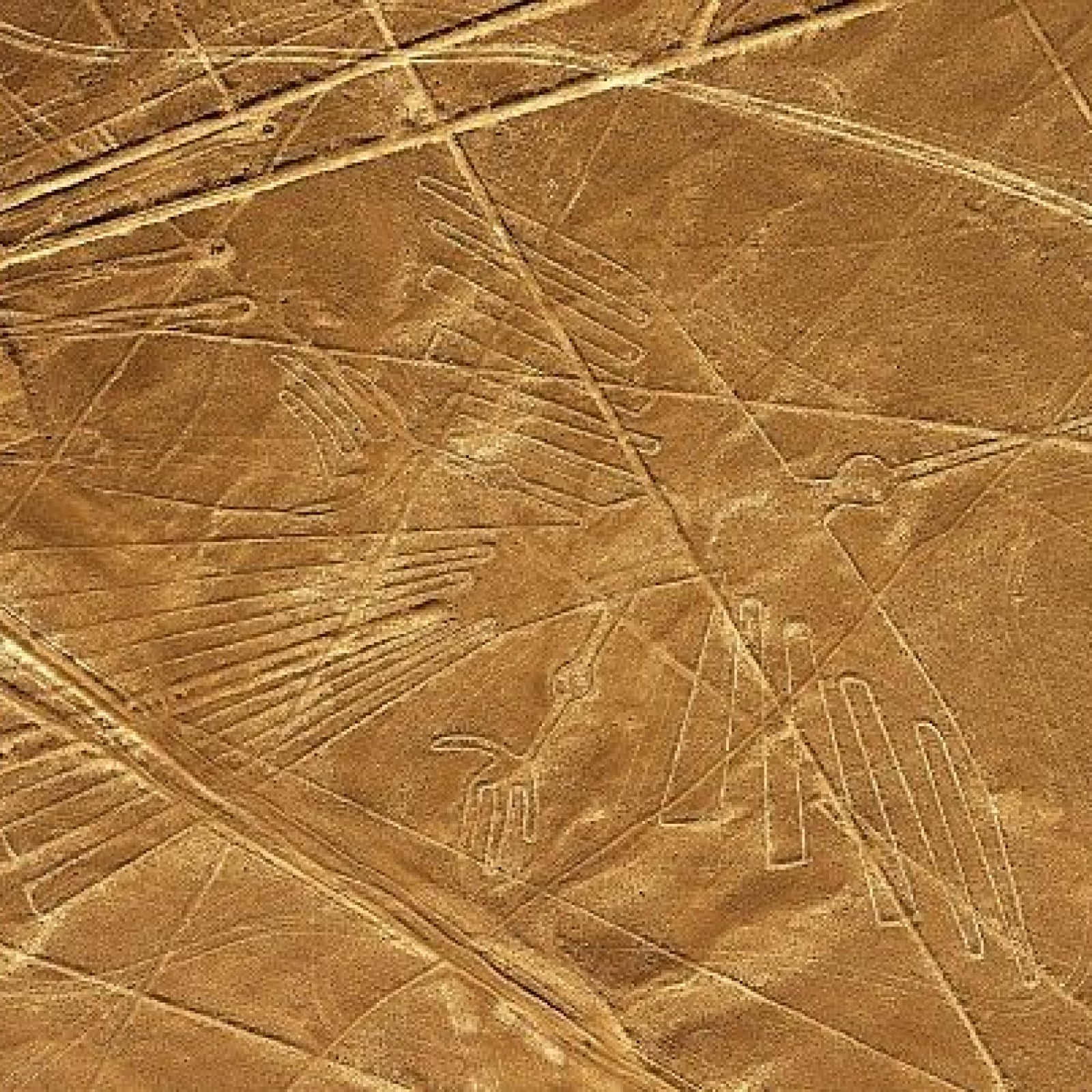 The Nazca Lines, desert earth, stylized birds, HD Desktop Wallpaper