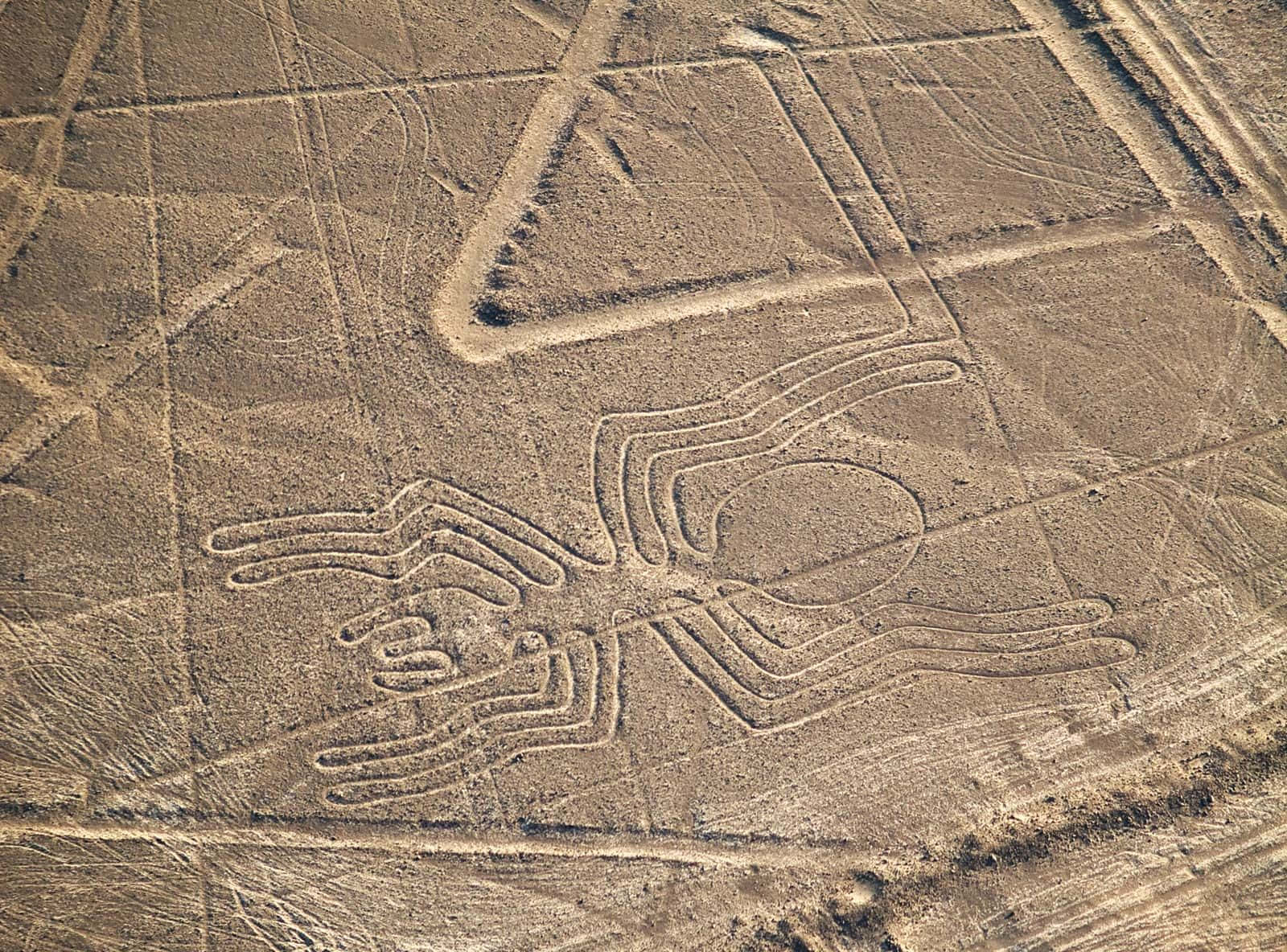 The Nazca Lines, spider, geoglyph, HD Desktop Wallpaper