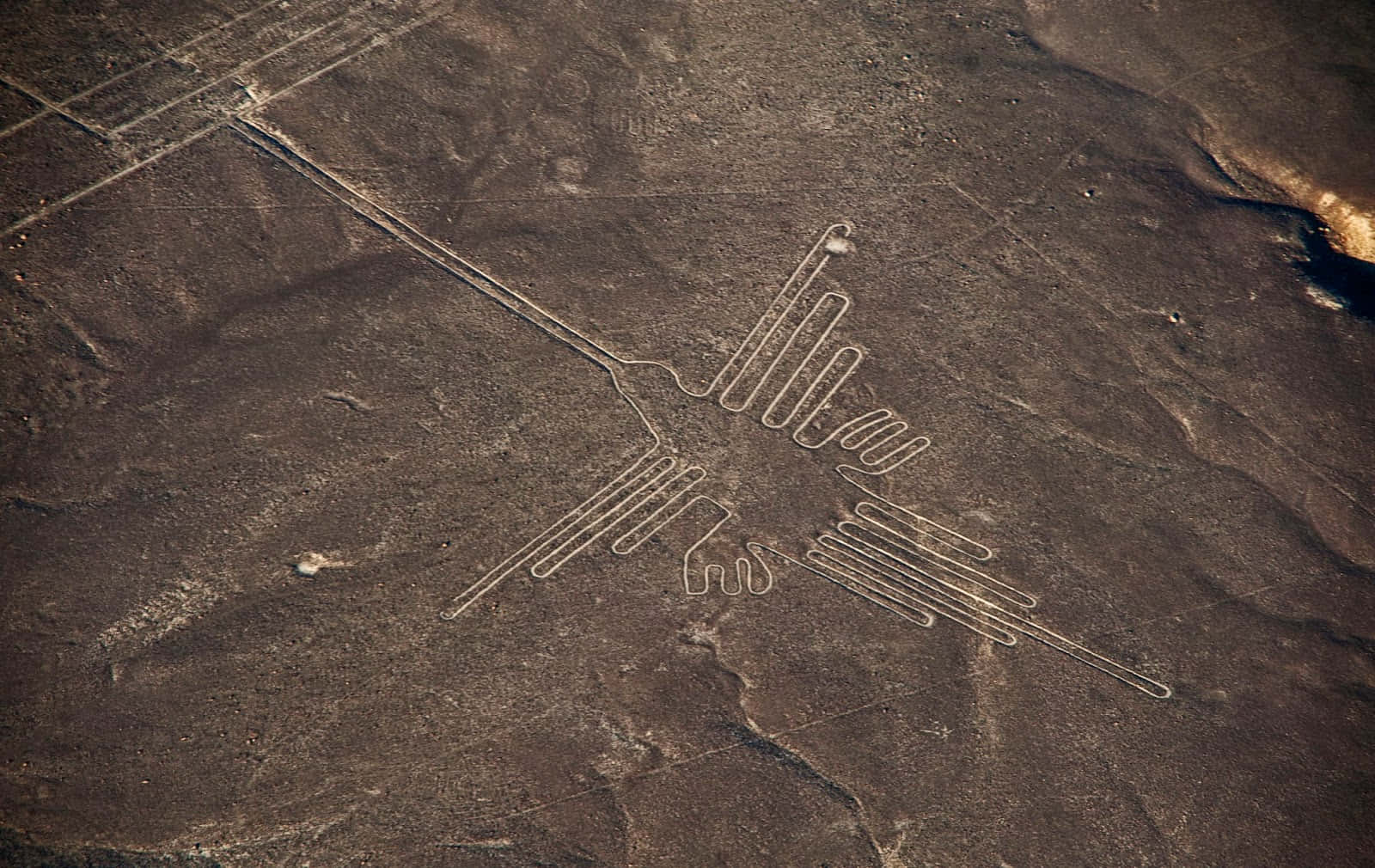 The Nazca Lines, hummingbird, arid brown desert terrain, HD Desktop Wallpaper