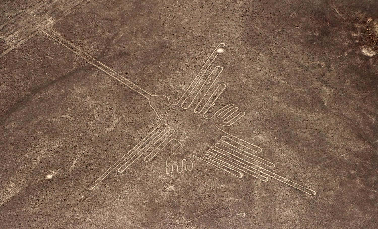 The Nazca Lines, hummingbird, arid brown desert floor, HD Desktop Wallpaper