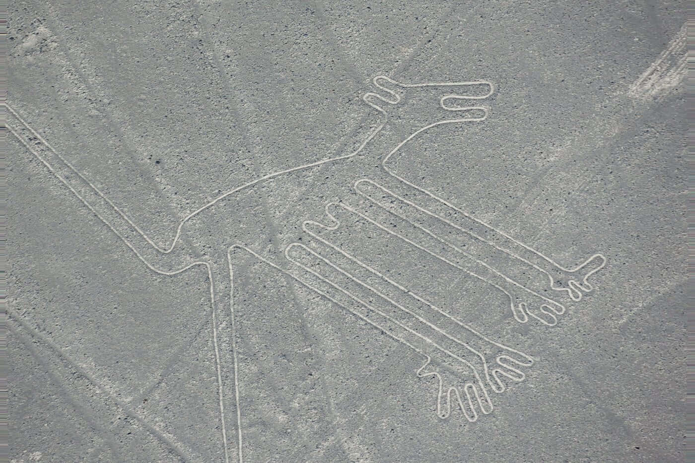 Nazca Lines, hummingbird, gray desert terrain, HD Desktop Wallpaper