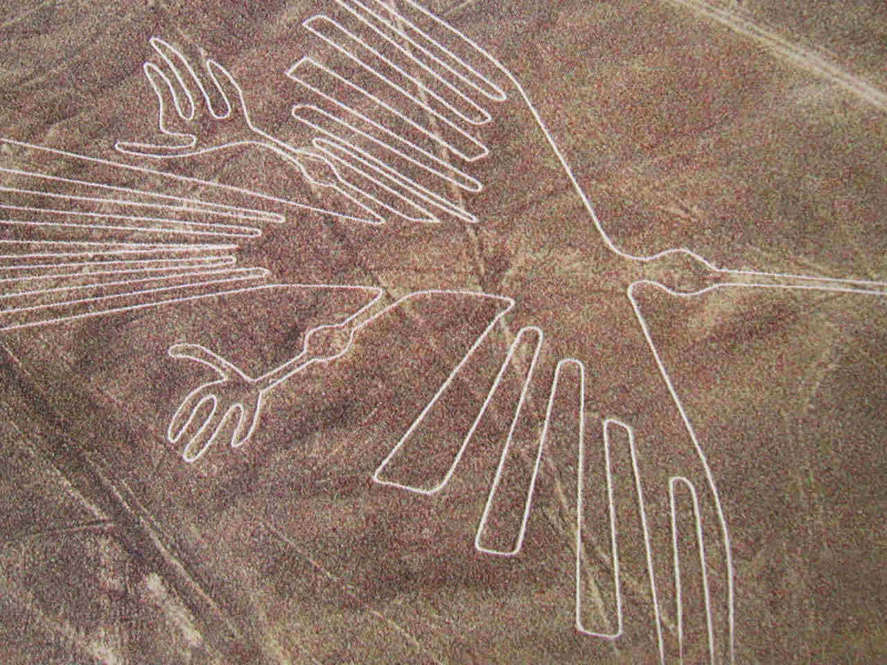 The Nazca Lines, bird, outstretched wings, HD Desktop Wallpaper
