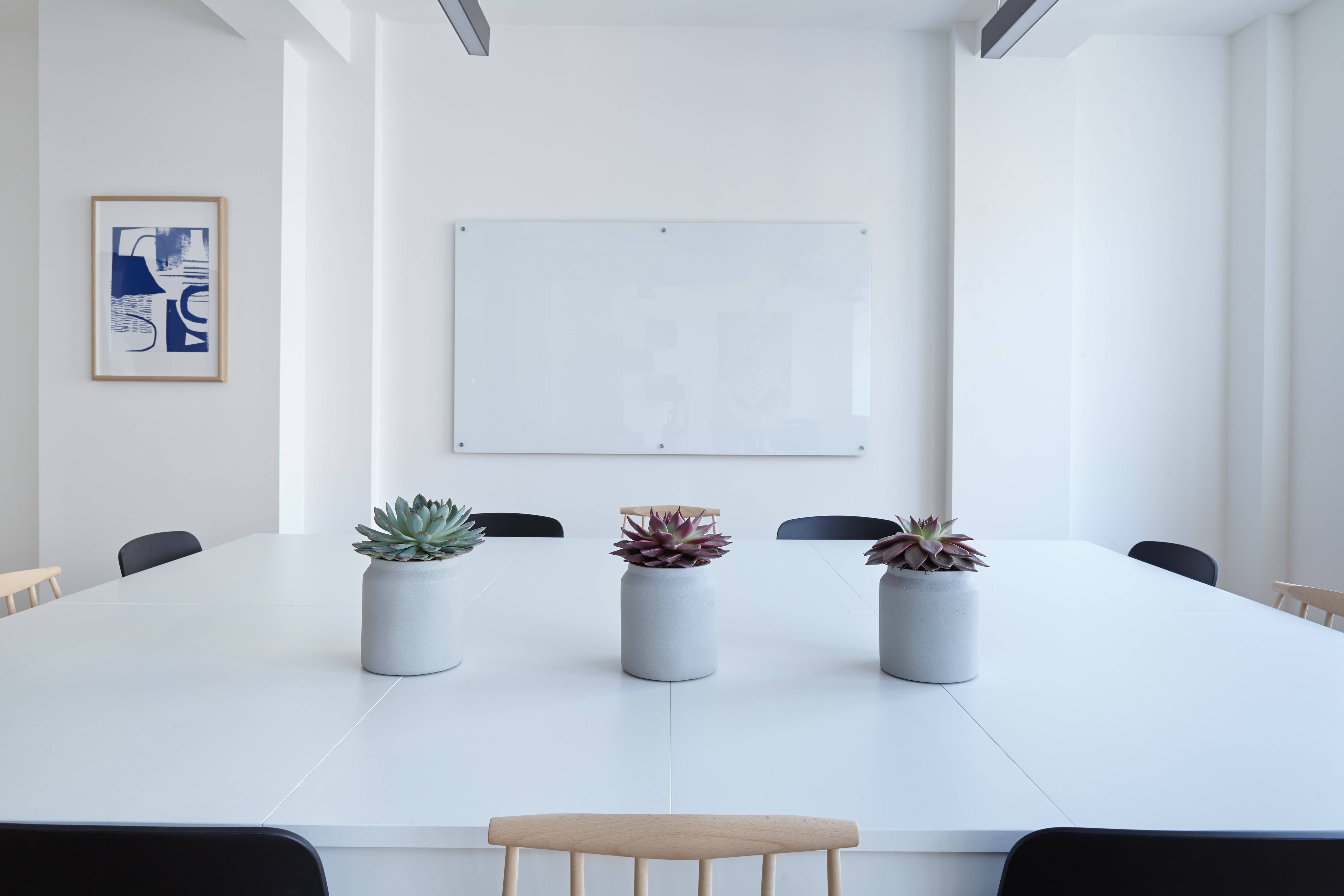 succulents, minimalist white conference table, bright overhead lights, 5K Desktop Wallpaper