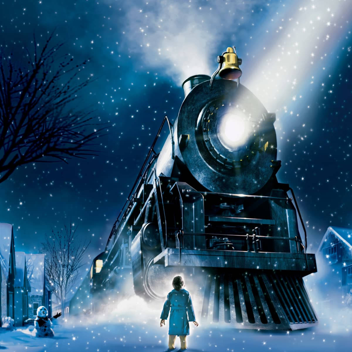 The Polar Express, hero boy, blue coat, SD Desktop Wallpaper