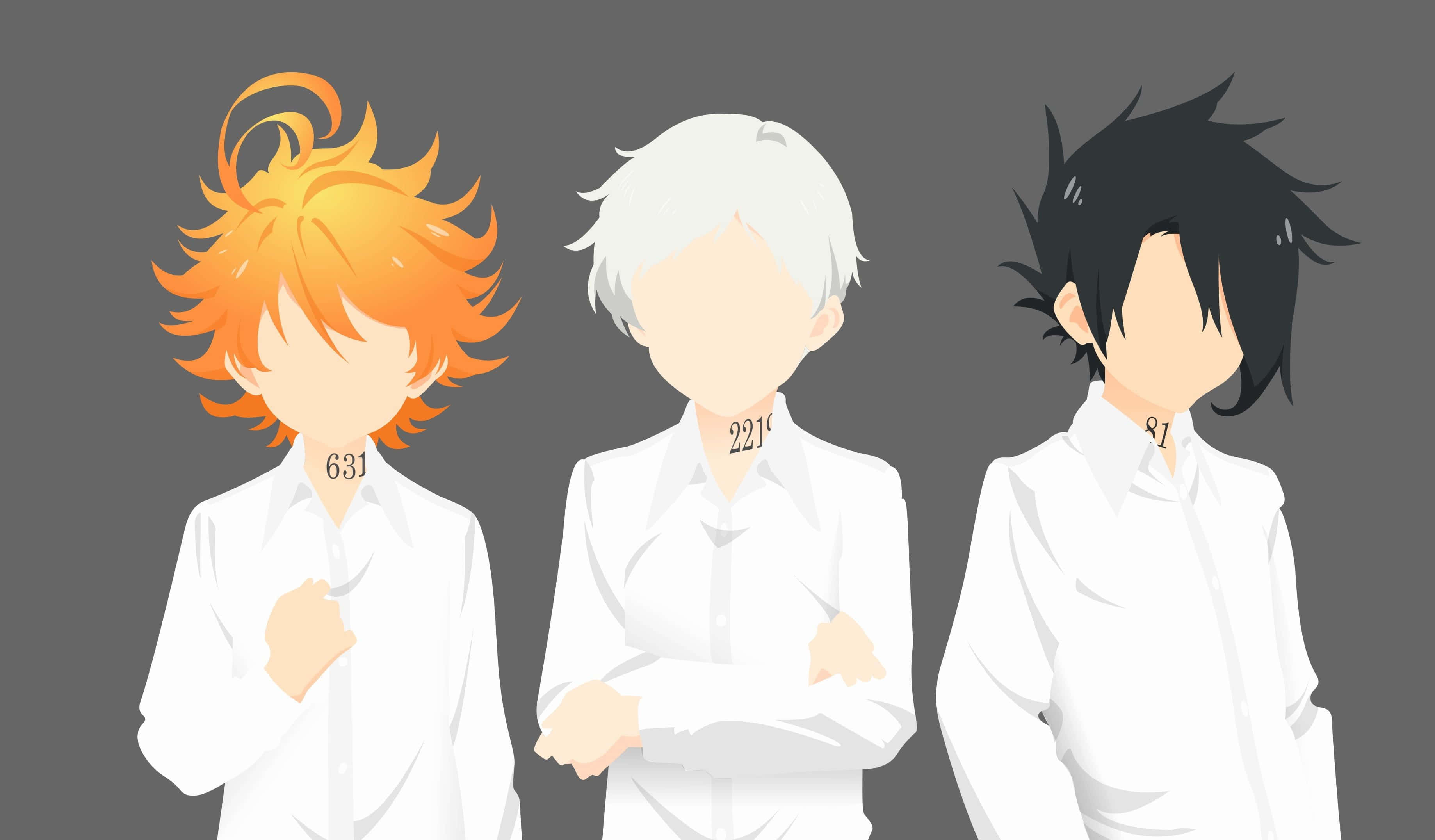 The Promised Neverland, Emma, gray background, 2K Desktop Wallpaper