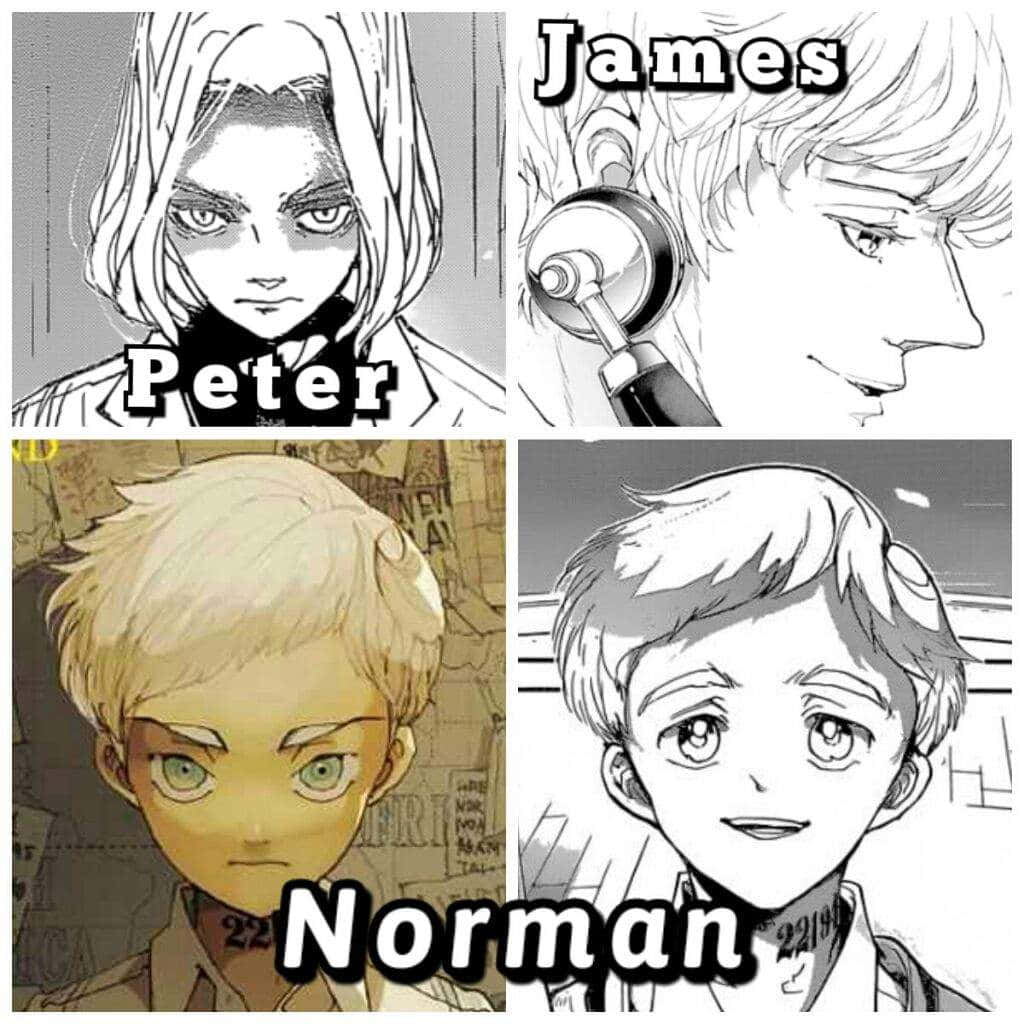 Peter Ratri, The Promised Neverland, anime series, SD Desktop Wallpaper