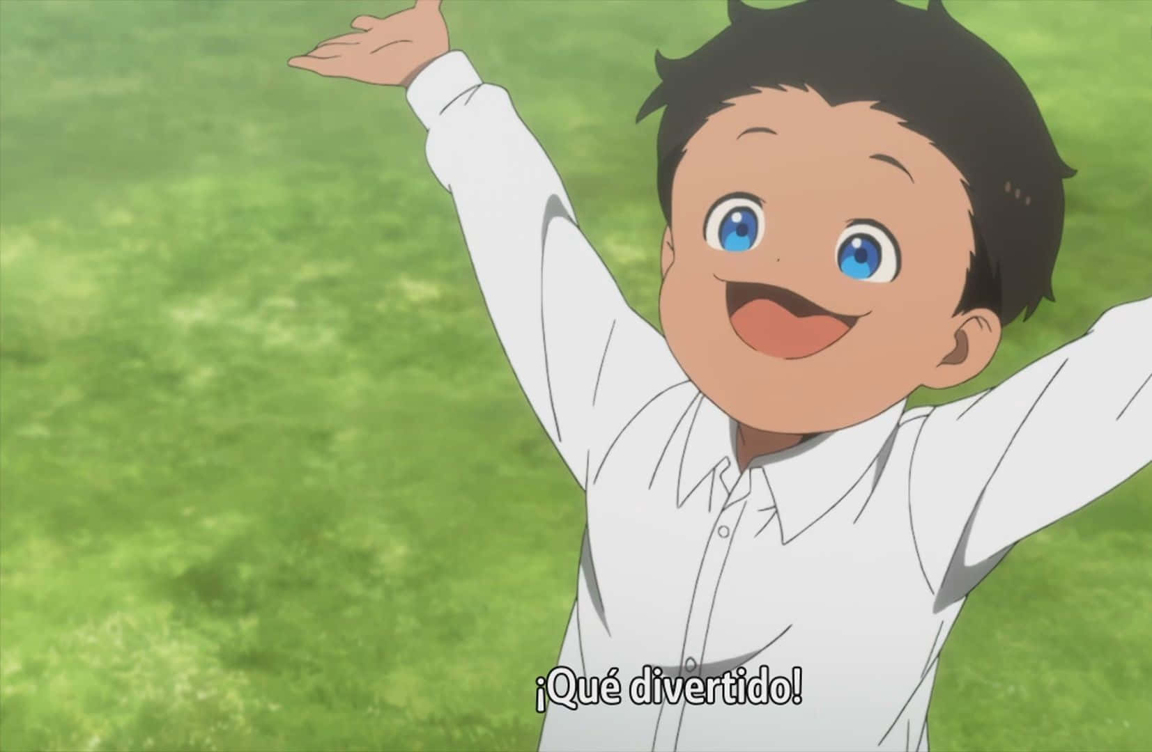 The Promised Neverland Phil, white shirt, vibrant green grassy field, HD Desktop Wallpaper