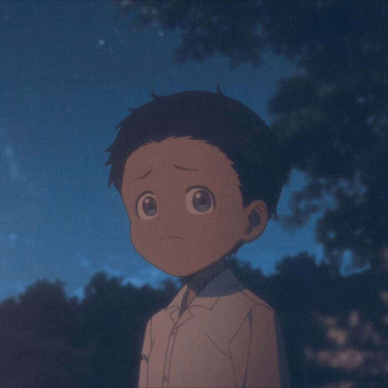 The Promised Neverland Phil, starry twilight sky, dark trees, HD Desktop Wallpaper