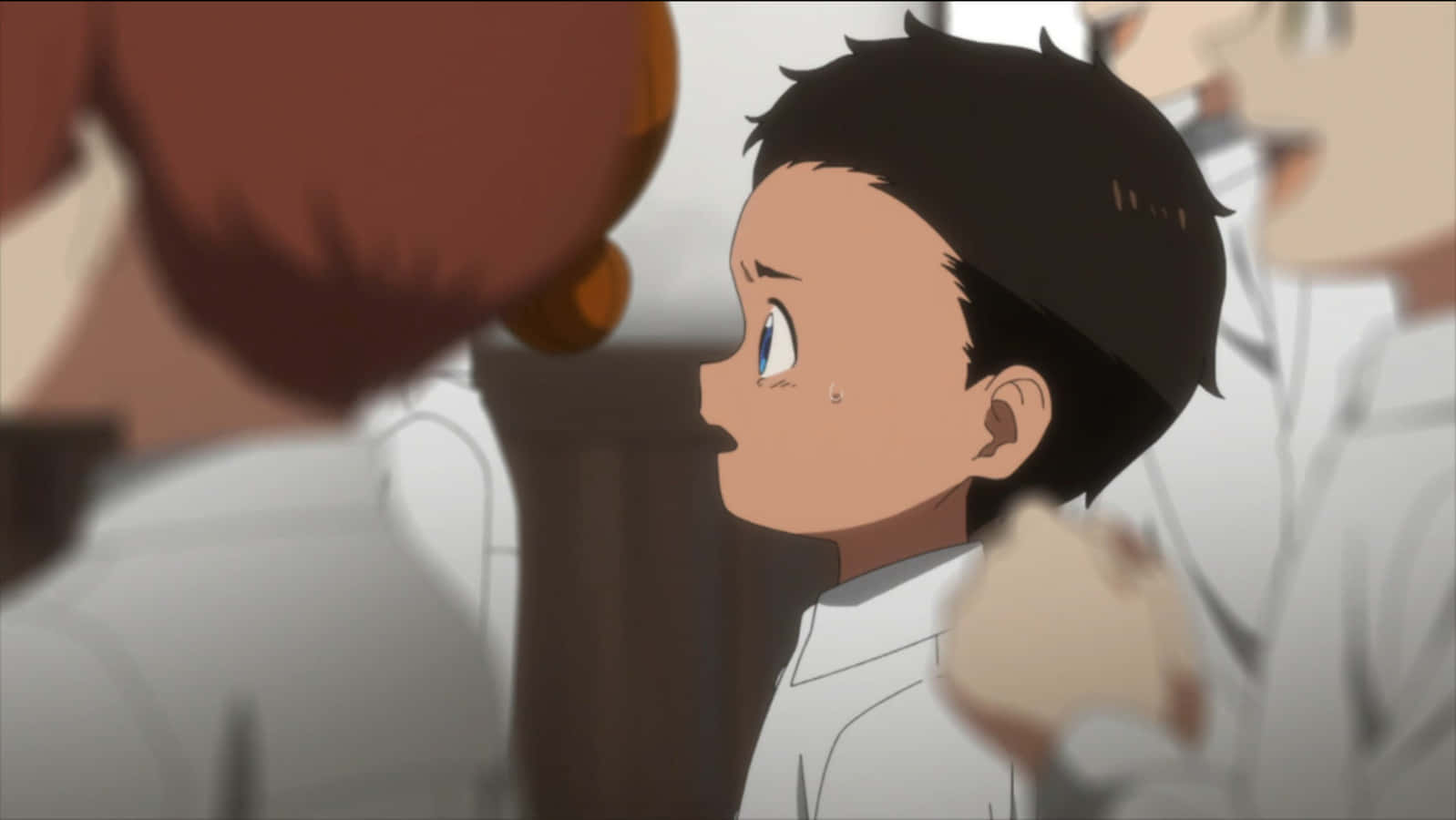 The Promised Neverland Phil, young anime boy, white coat, HD Desktop Wallpaper