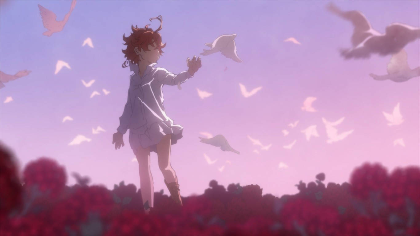 The Promised Neverland, red spider lily field, red hair, HD Desktop Wallpaper