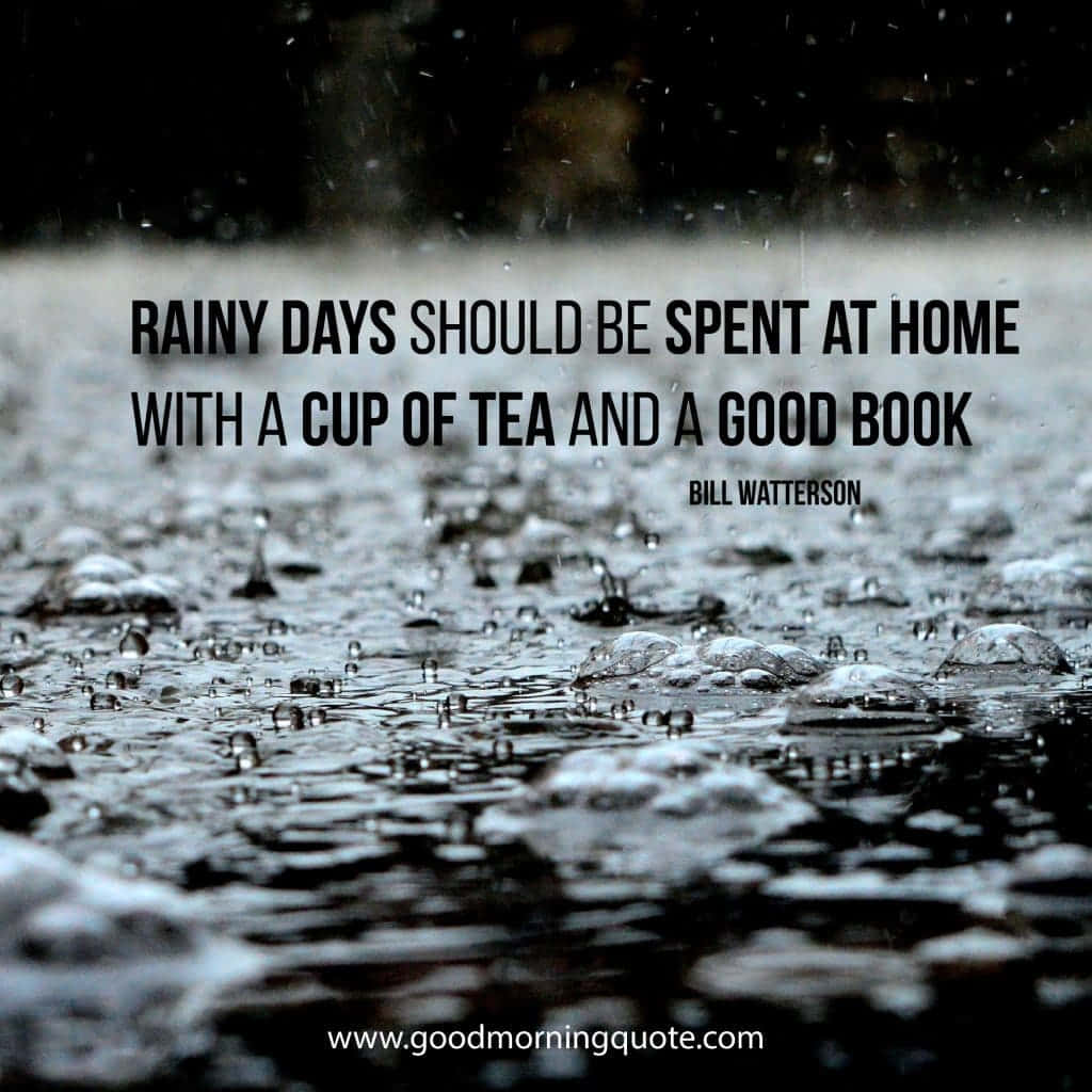 rain, raindrops, wet surface, SD Desktop Wallpaper
