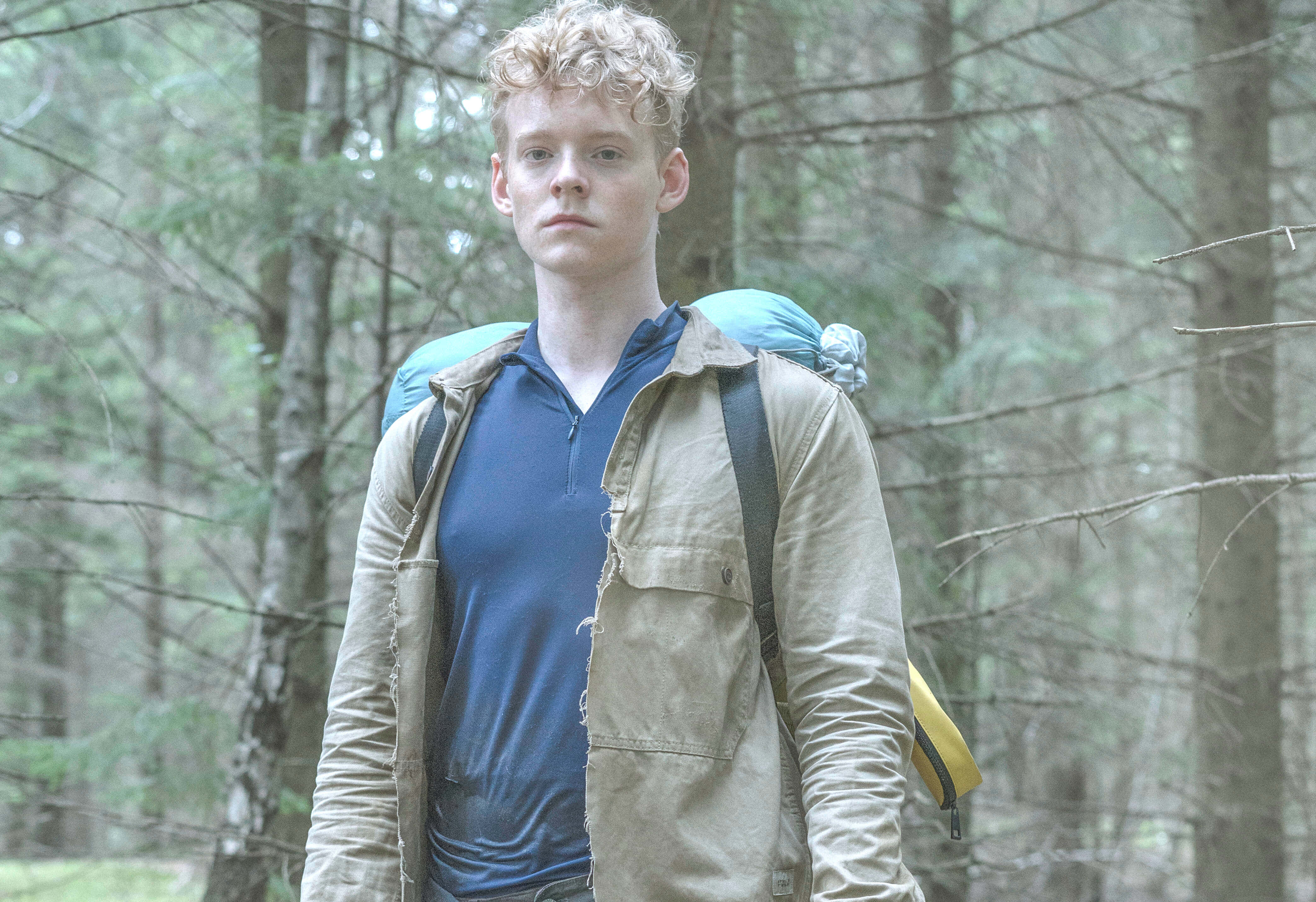 young man, curly blond hair, misty forest, 4K Desktop Wallpaper