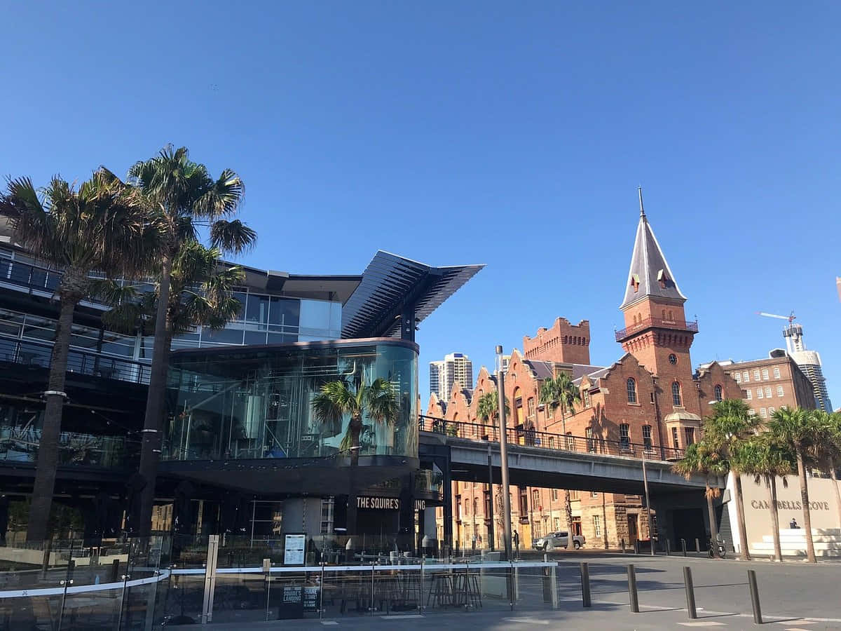 The Rocks Sydney, modern glass building, palm trees, SD Desktop Wallpaper