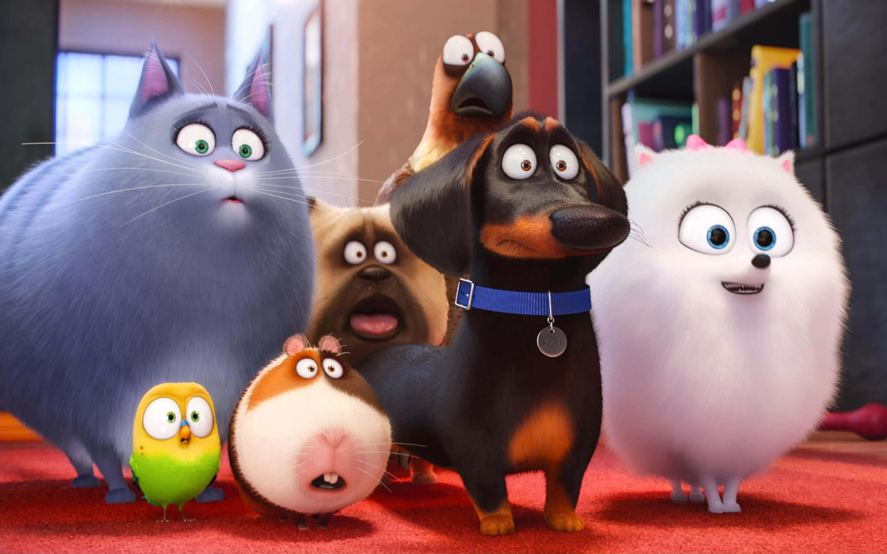 The Secret Life Of Pets 2, animated pets, wide eyes, 2K Desktop Wallpaper