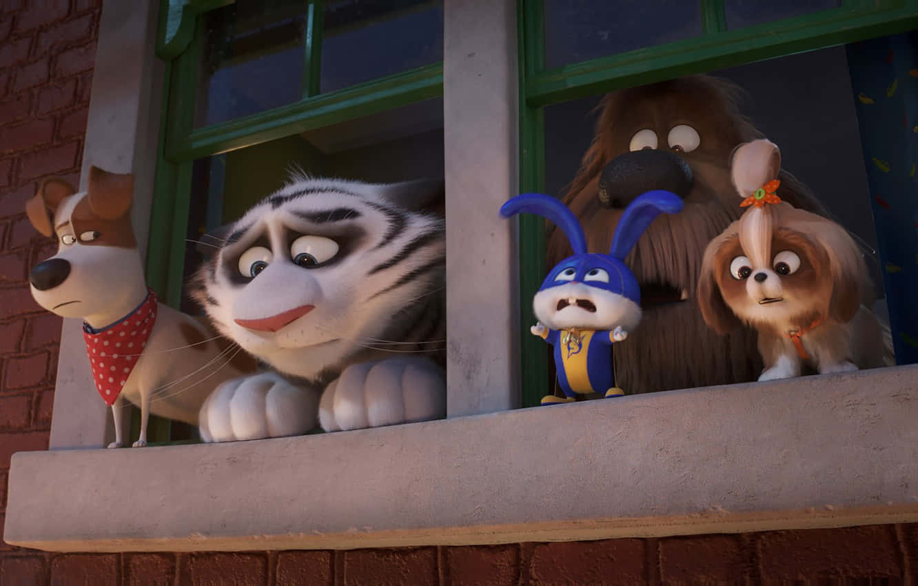 The Secret Life Of Pets 2, frowning faces, animated animal characters, HD Desktop Wallpaper