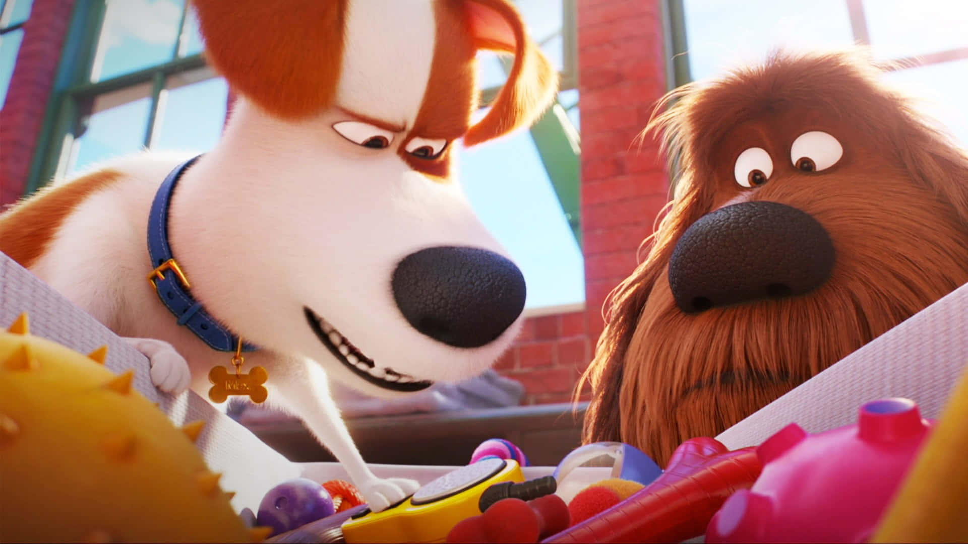 The Secret Life Of Pets 2, animated dogs, expressive faces, Full HD Desktop Wallpaper