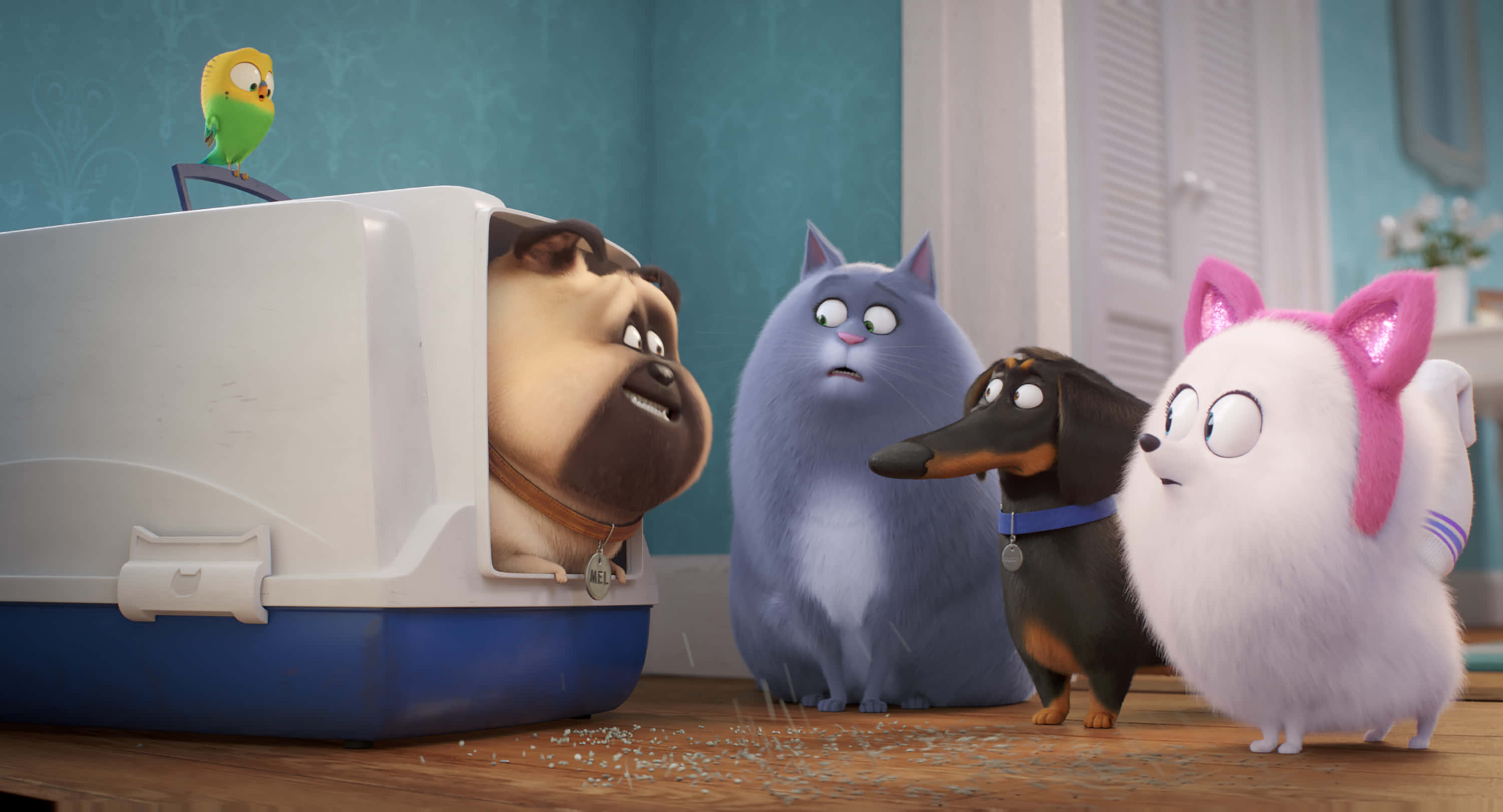 The Secret Life Of Pets 2, cartoon dog, blue cat dachshund, 2K Desktop Wallpaper