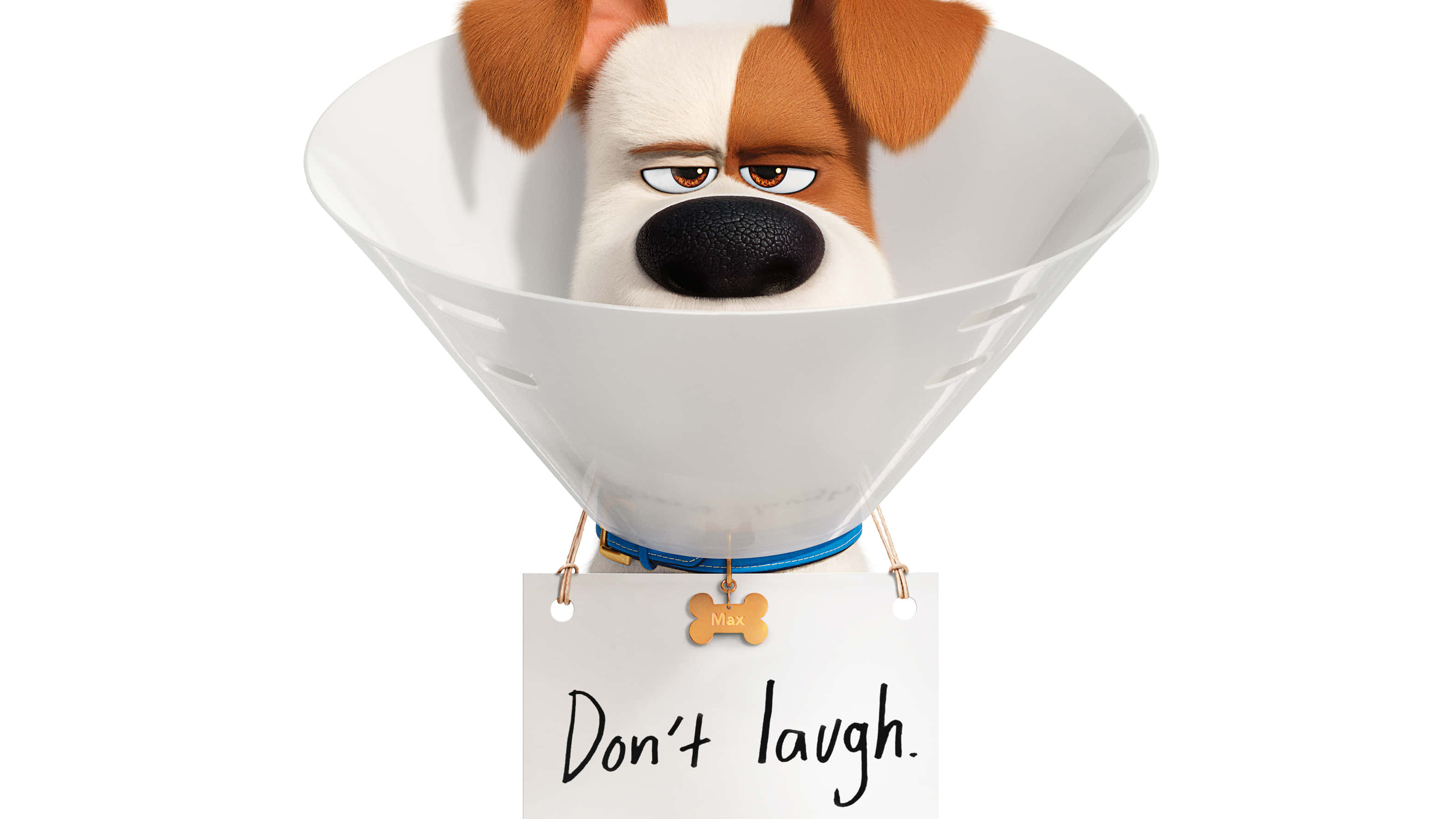 The Secret Life Of Pets 2, animated dog, brown and white fur, 2K Desktop Wallpaper