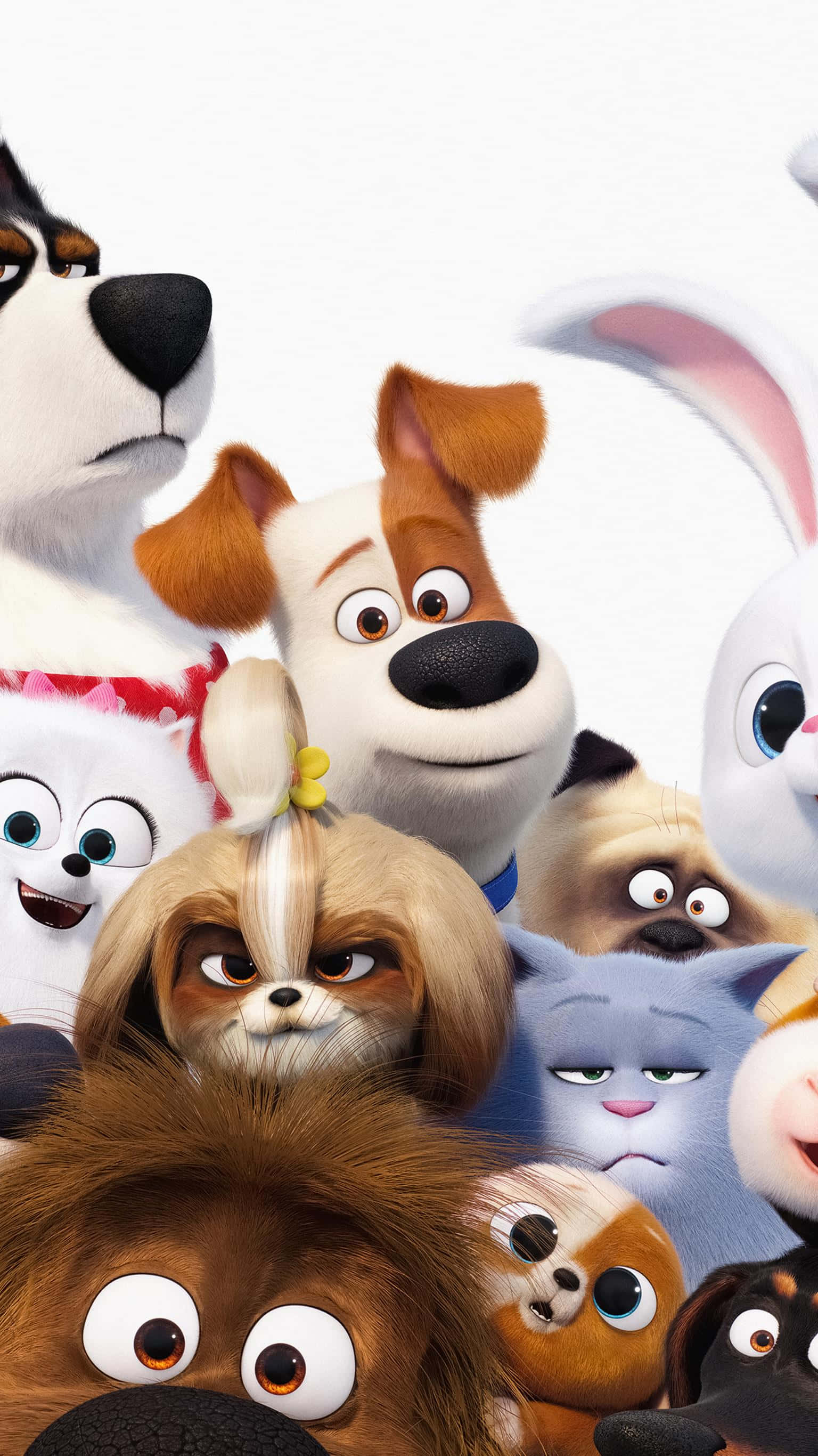 The Secret Life Of Pets 2, 3d-rendered, animated dogs, 2K Phone Wallpaper