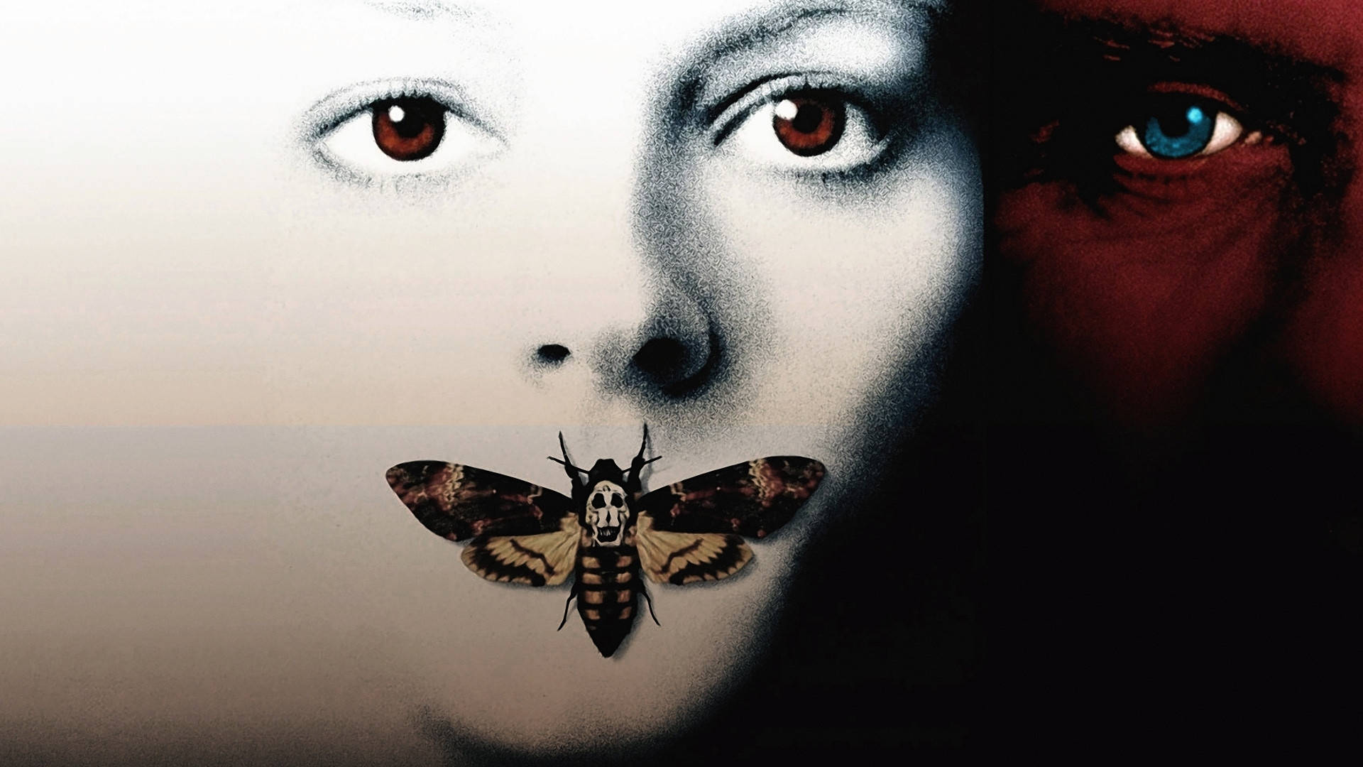 The Silence Of The Lambs, death's-head moth, red and white, Full HD Desktop Wallpaper
