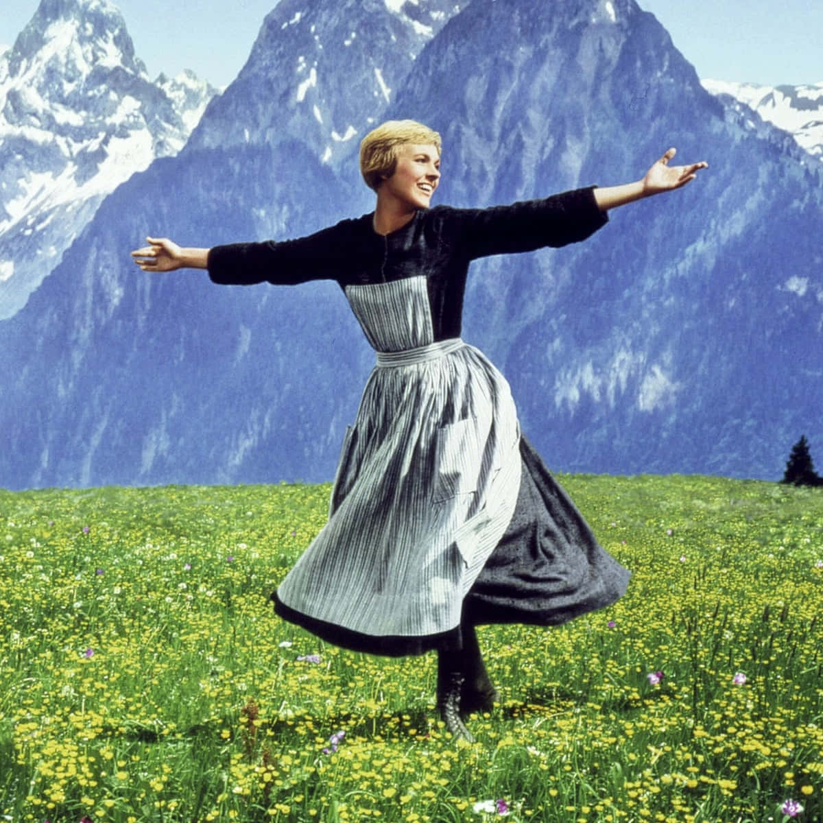 Sound Of Music, mountain meadow, striped dress, SD Desktop Wallpaper