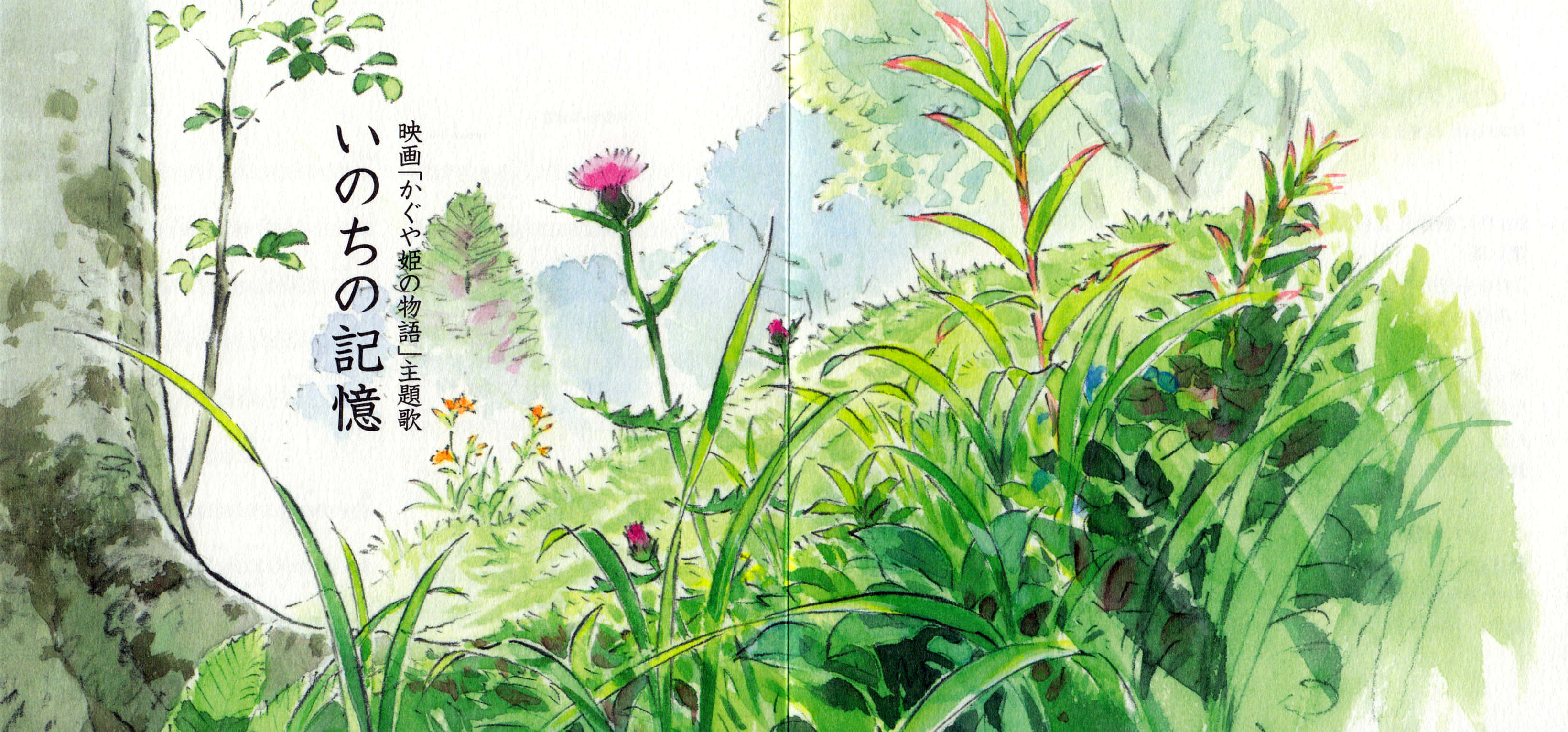 The Tale Of The Princess Kaguya, Princess Kaguya, bamboo forest, 2K Desktop Wallpaper