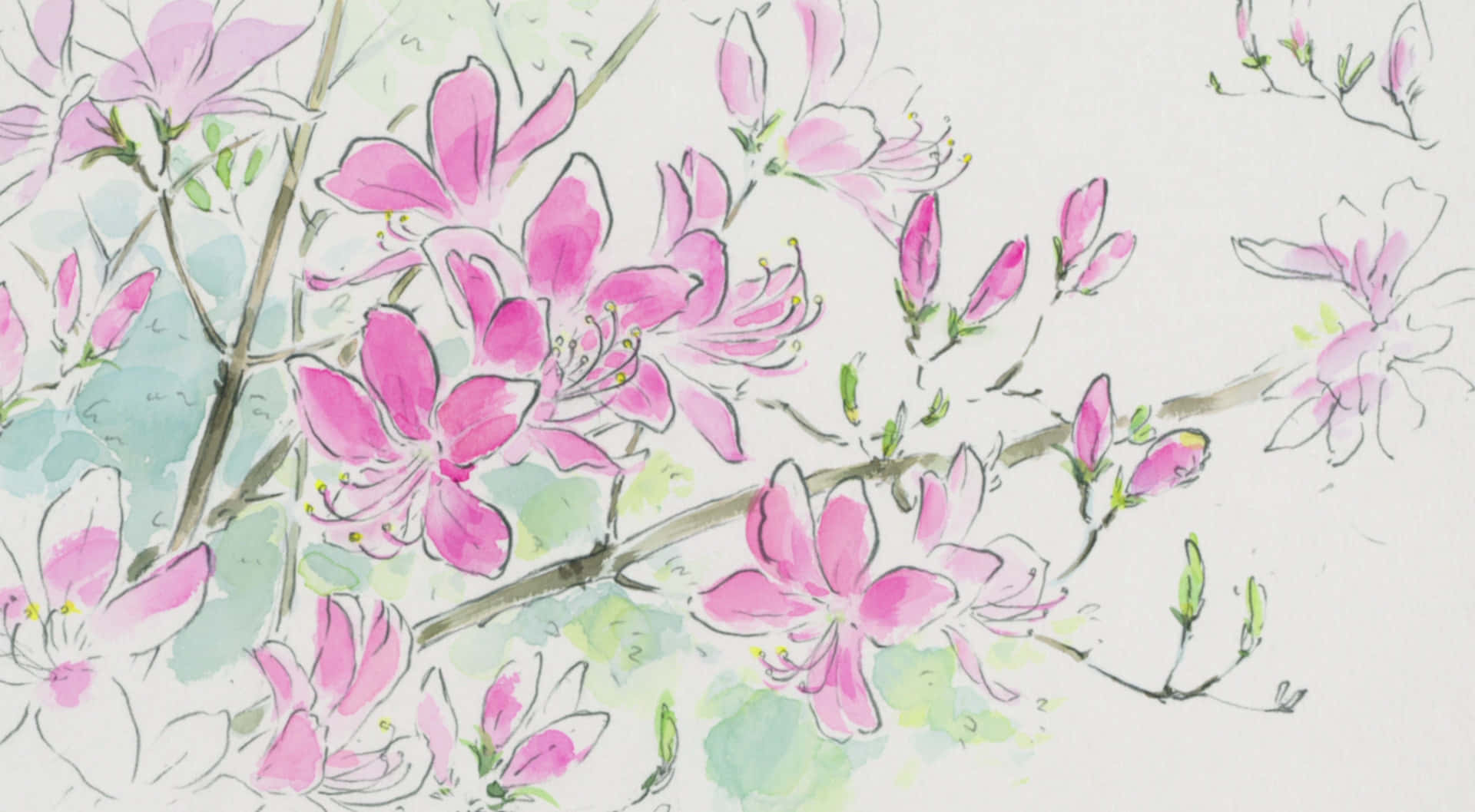 The Tale Of The Princess Kaguya, pink blossoms, slender branches, Full HD Desktop Wallpaper