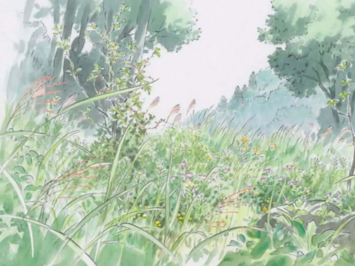 The Tale Of The Princess Kaguya, Kaguya, forest clearing, SD Desktop Wallpaper