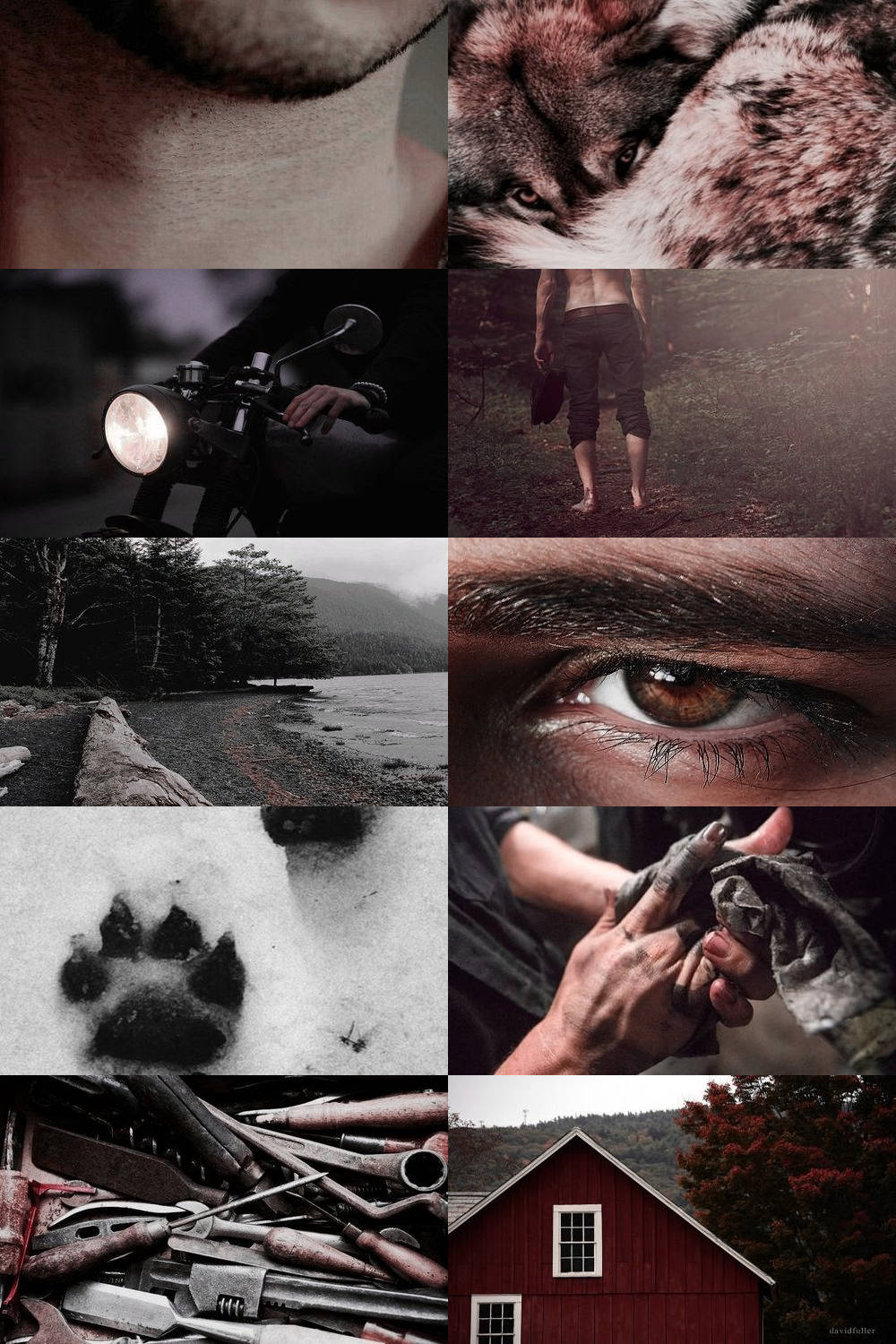 Twilight Aesthetic, wolf's gaze, motorcycle's headlight, HD Phone Wallpaper