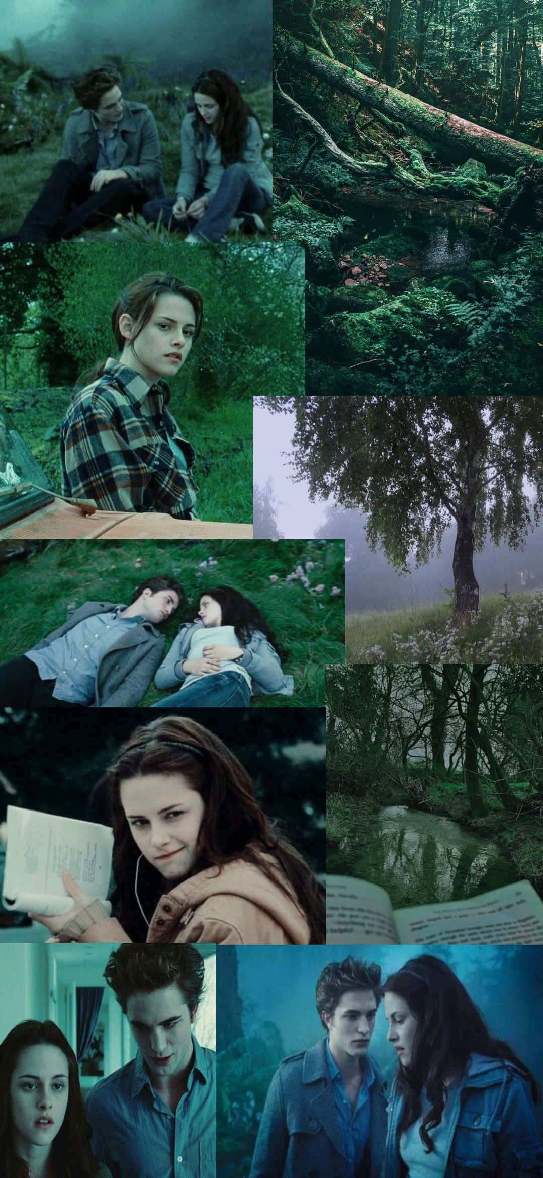 Twilight Saga, lush green forests, misty woods, Full HD Phone Wallpaper