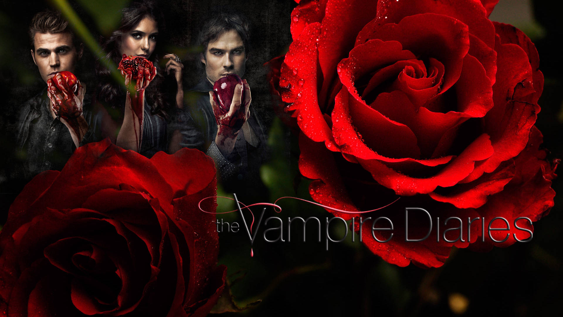 The Vampire Diaries, red roses, vampire characters, Full HD Desktop Wallpaper