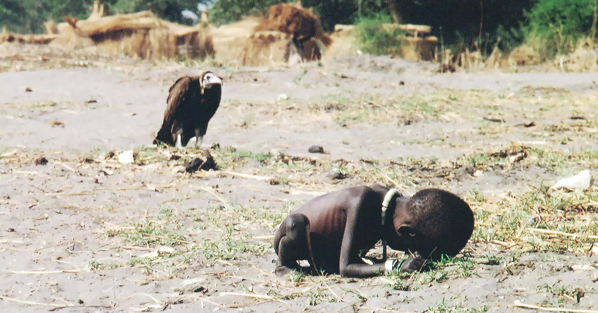 vulture, emaciated child, African savanna, Full HD Desktop Wallpaper