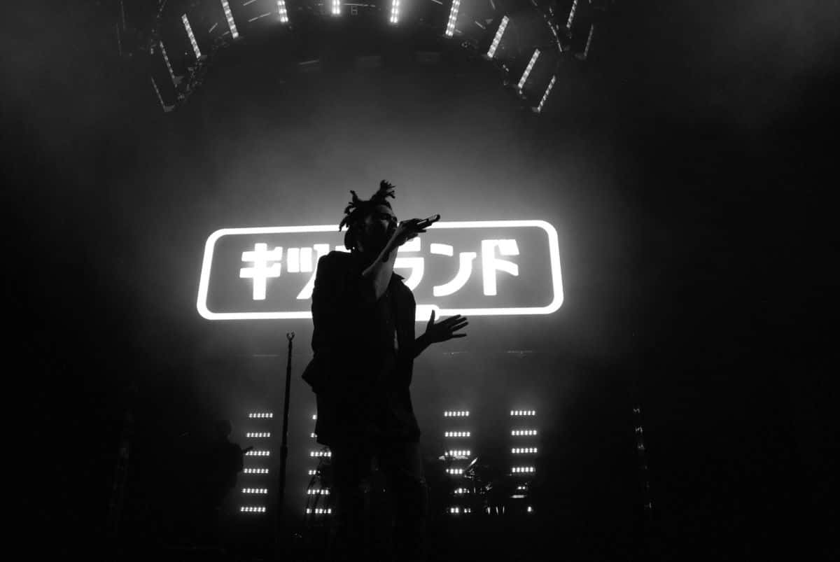 The Weeknd, dreadlocks, dark stage, SD Desktop Wallpaper