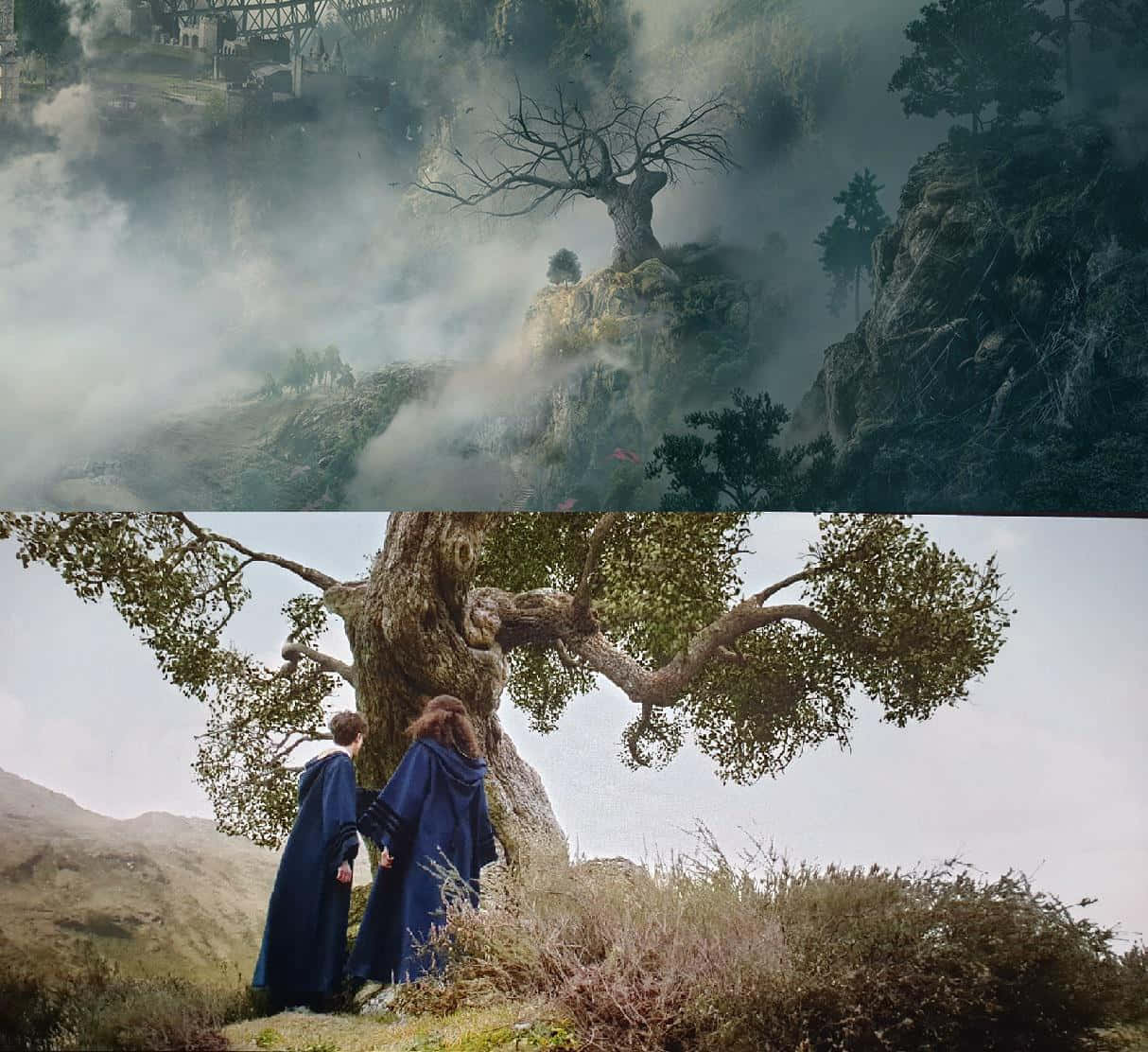 The Whomping Willow, blue cloaks, massive gnarled tree, SD Desktop Wallpaper