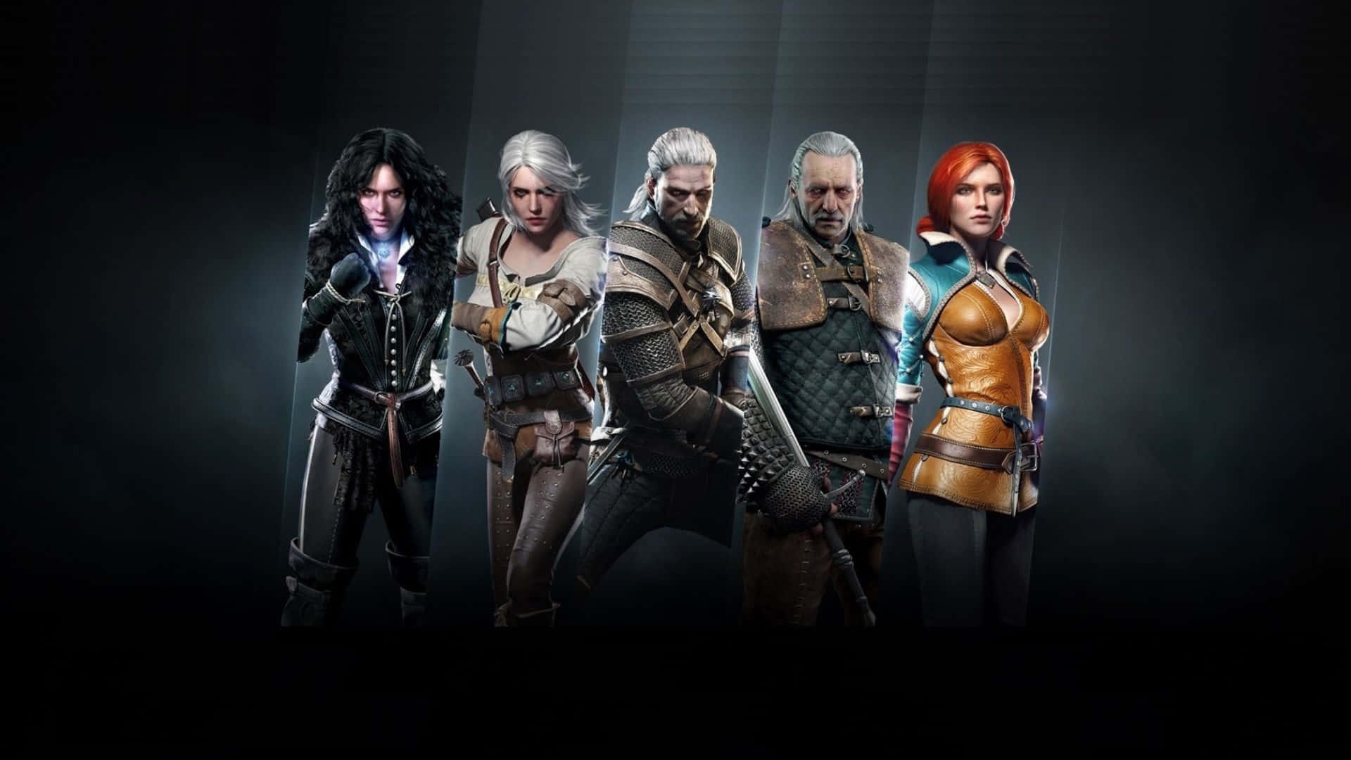 The Witcher, 1920x1080, armored fantasy warriors, Full HD Desktop Wallpaper