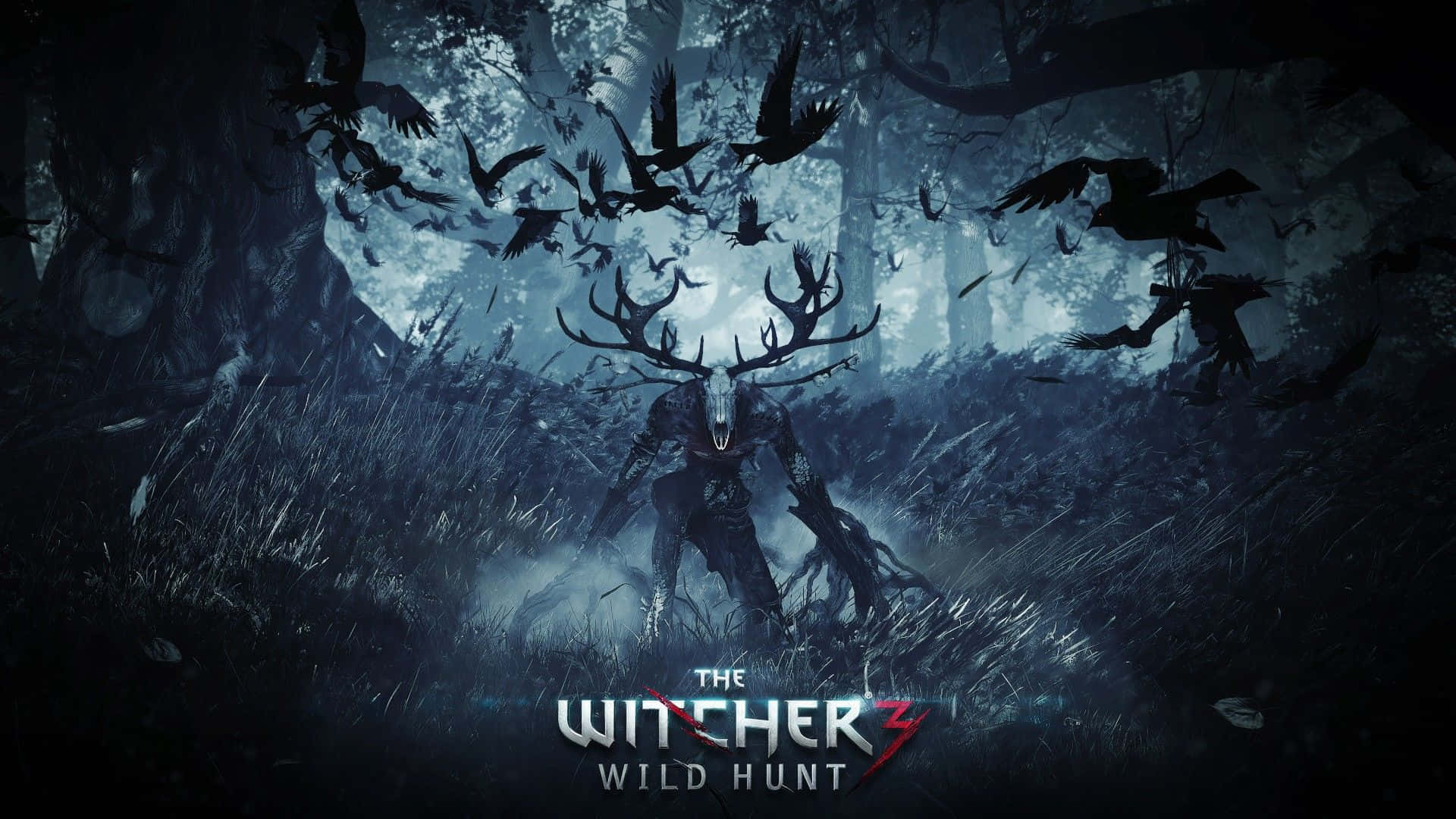 The Witcher, Witcher 3, wild hunt, Full HD Desktop Wallpaper